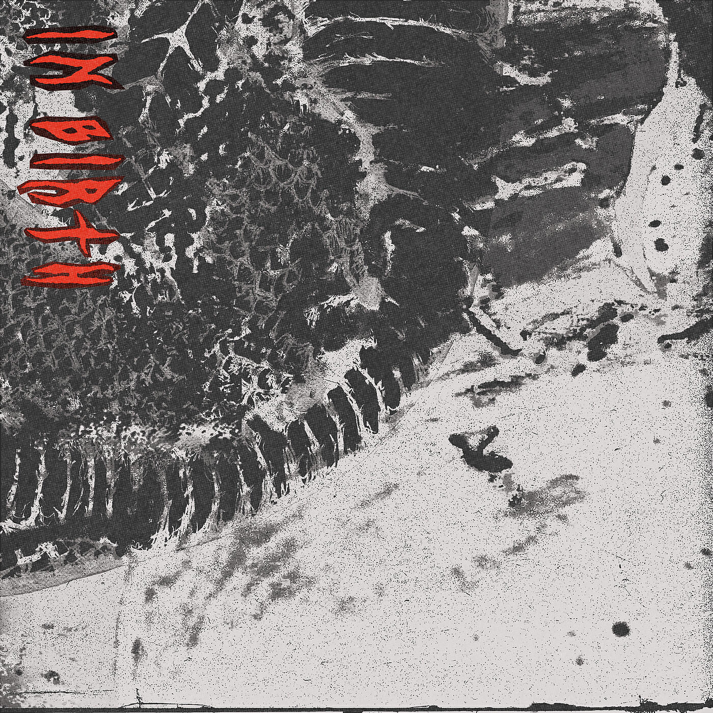 WITCH FEVER - In Birth