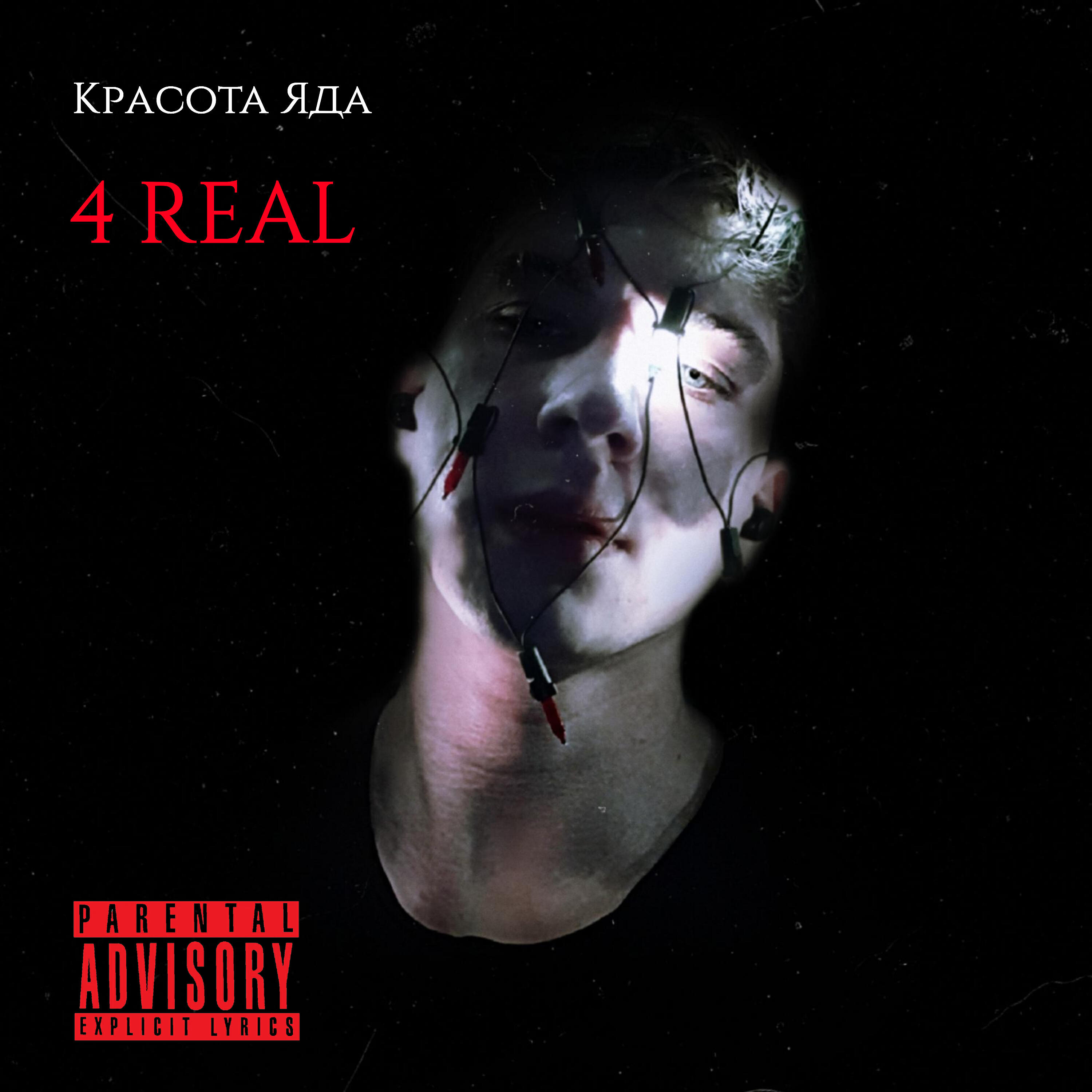 Красота Яда - Флип