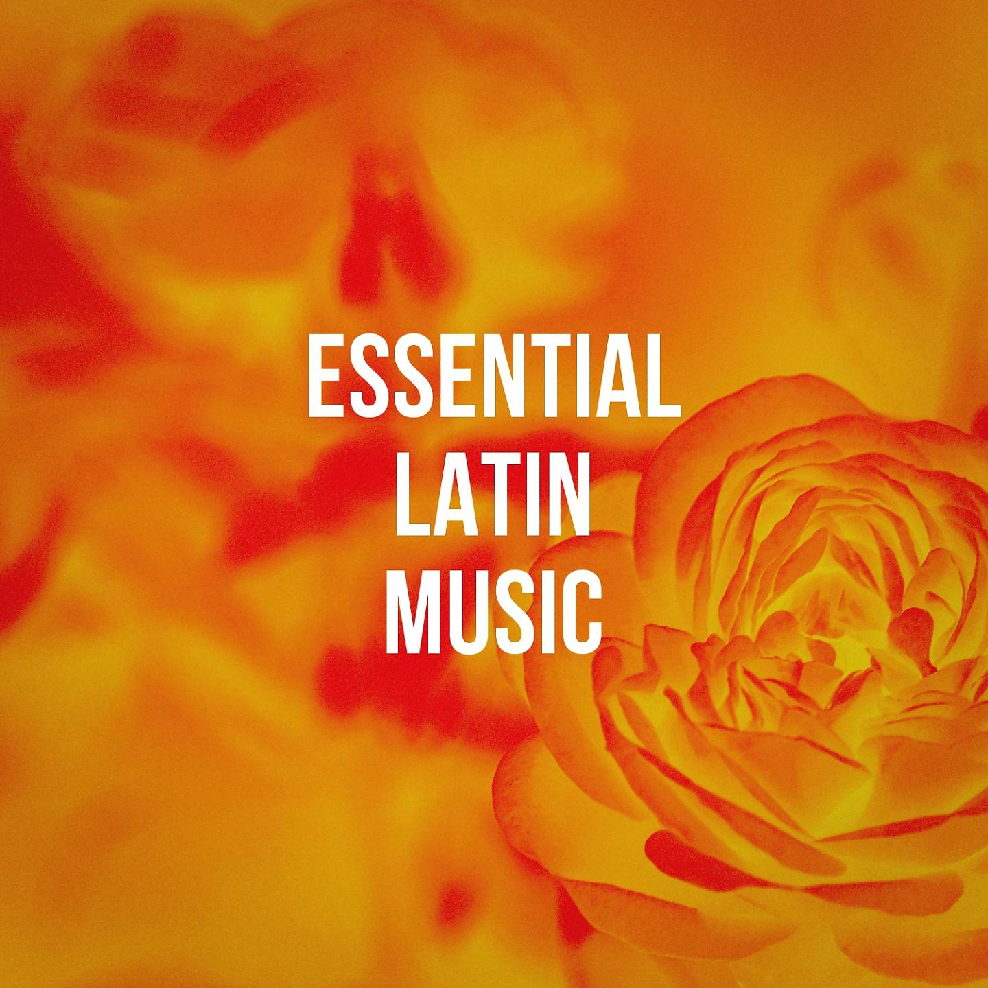 Постер альбома Essential Latin Music