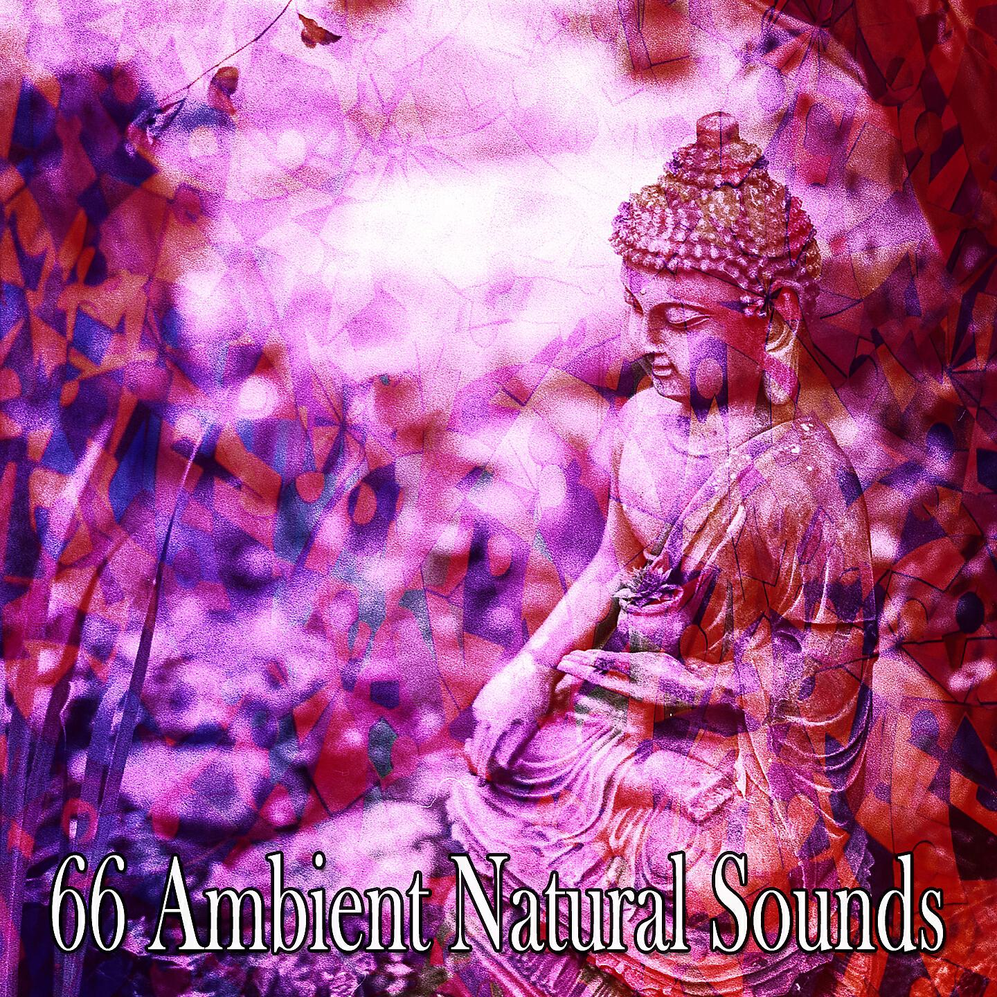 Asian Zen Spa Music Meditation - Requesting Calm
