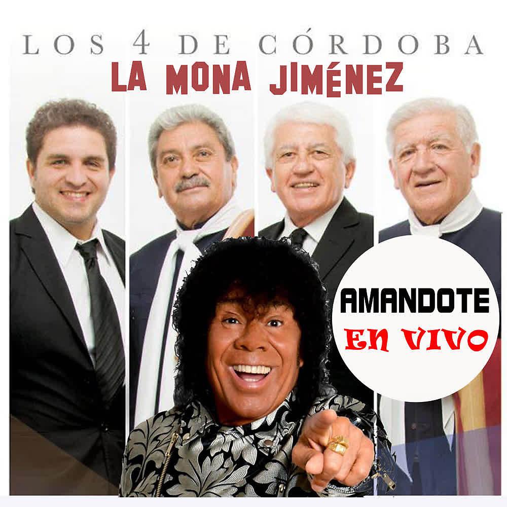 Постер альбома Amándote (En Vivo)