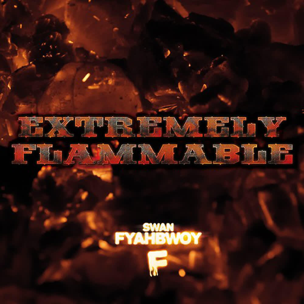 Fyahbwoy - Luv Dem Ting