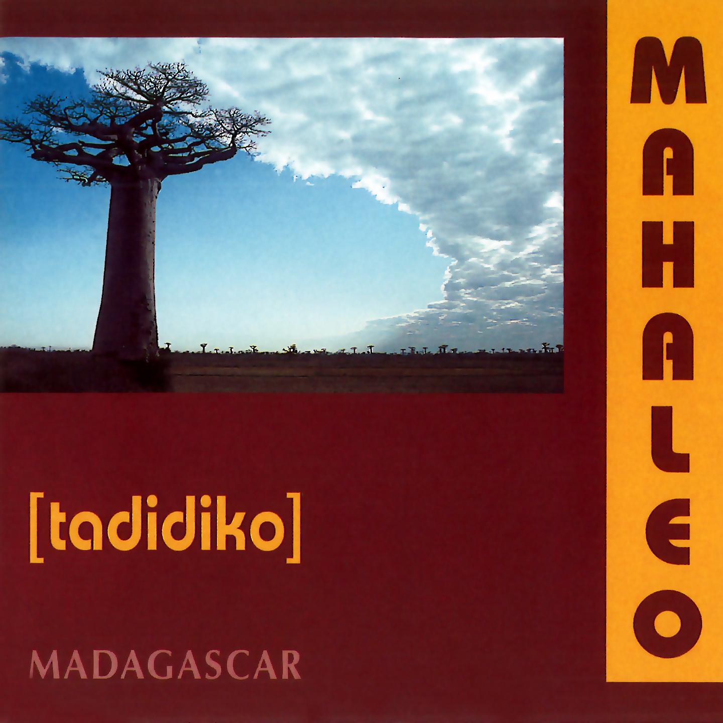 Постер альбома Tadidiko