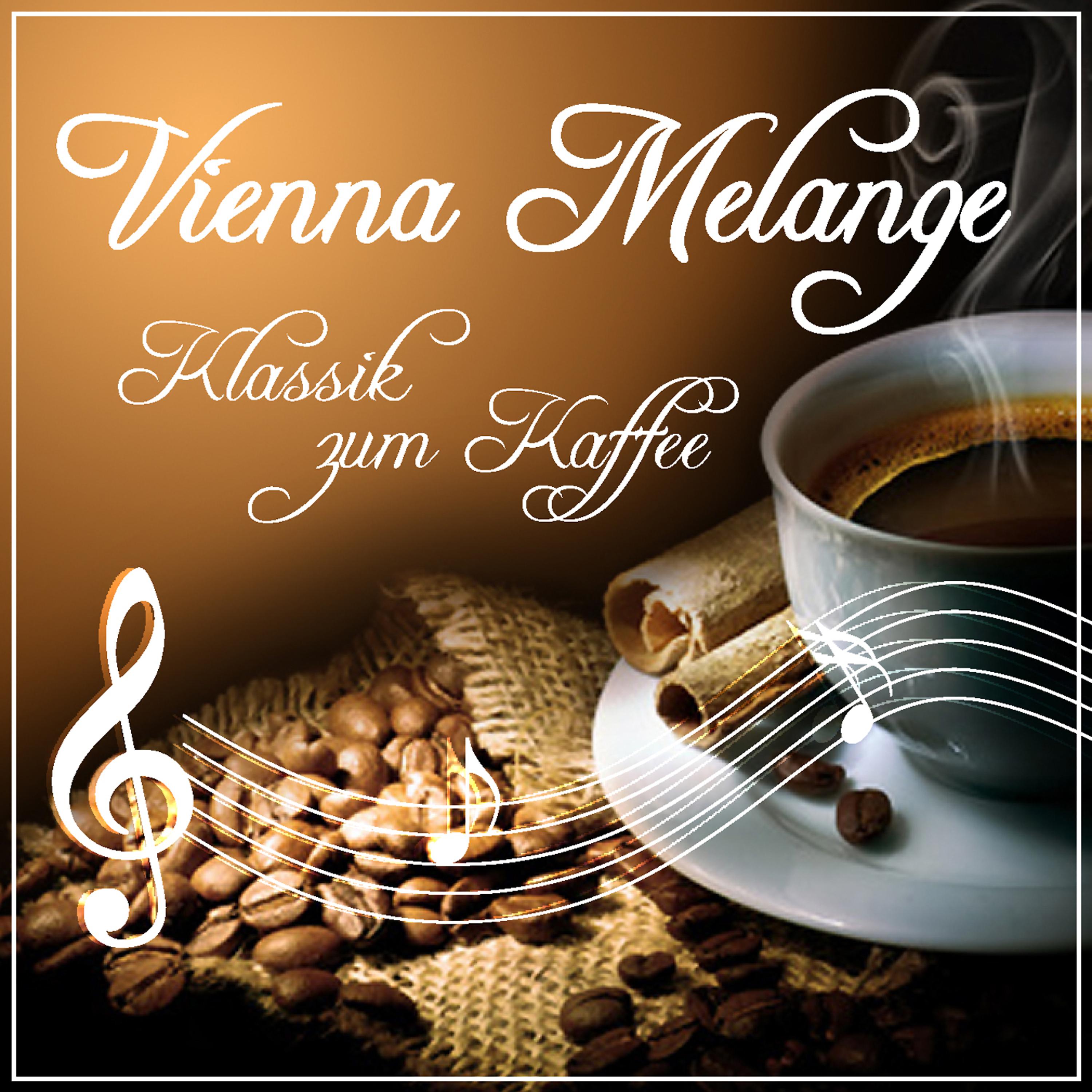 Постер альбома Vienna Melange