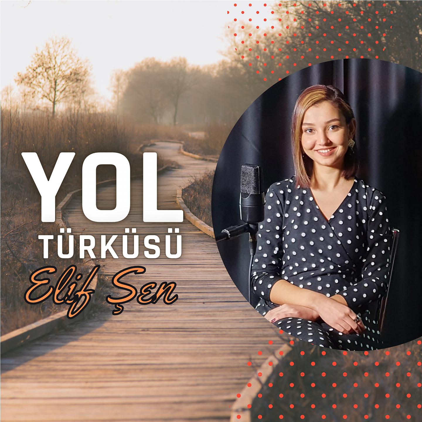 Постер альбома Yol Türküsü