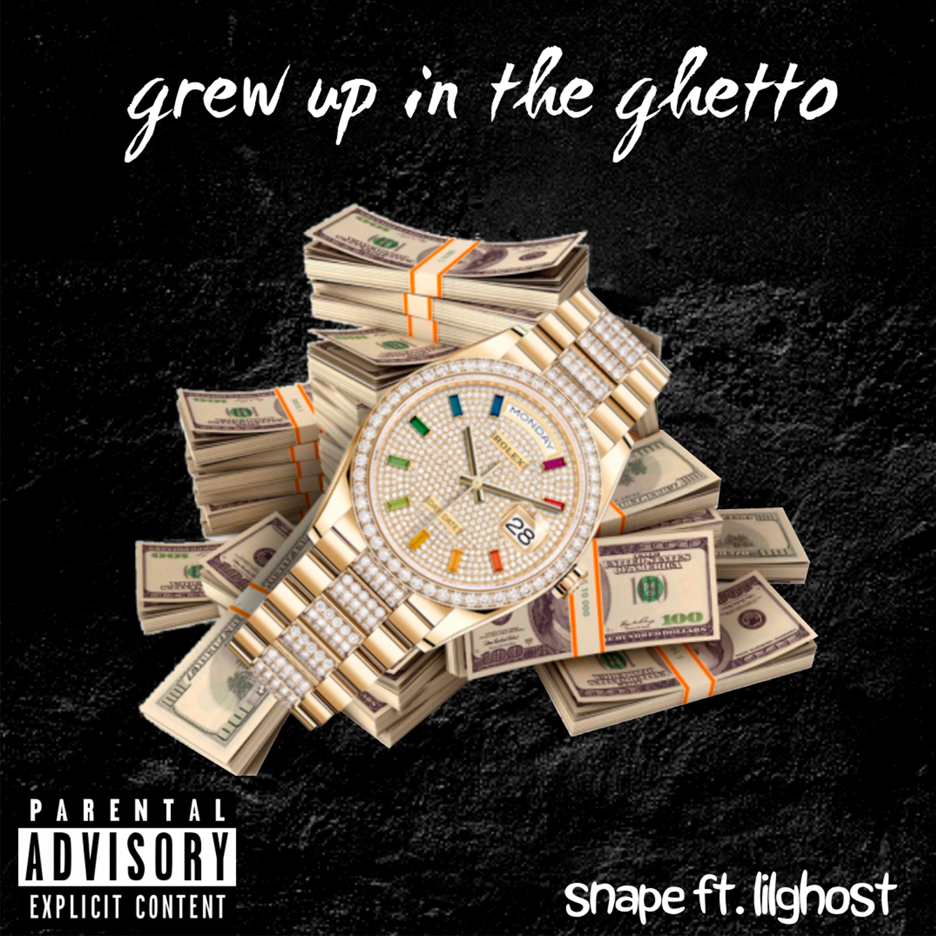 Постер альбома Grew up in the Ghetto