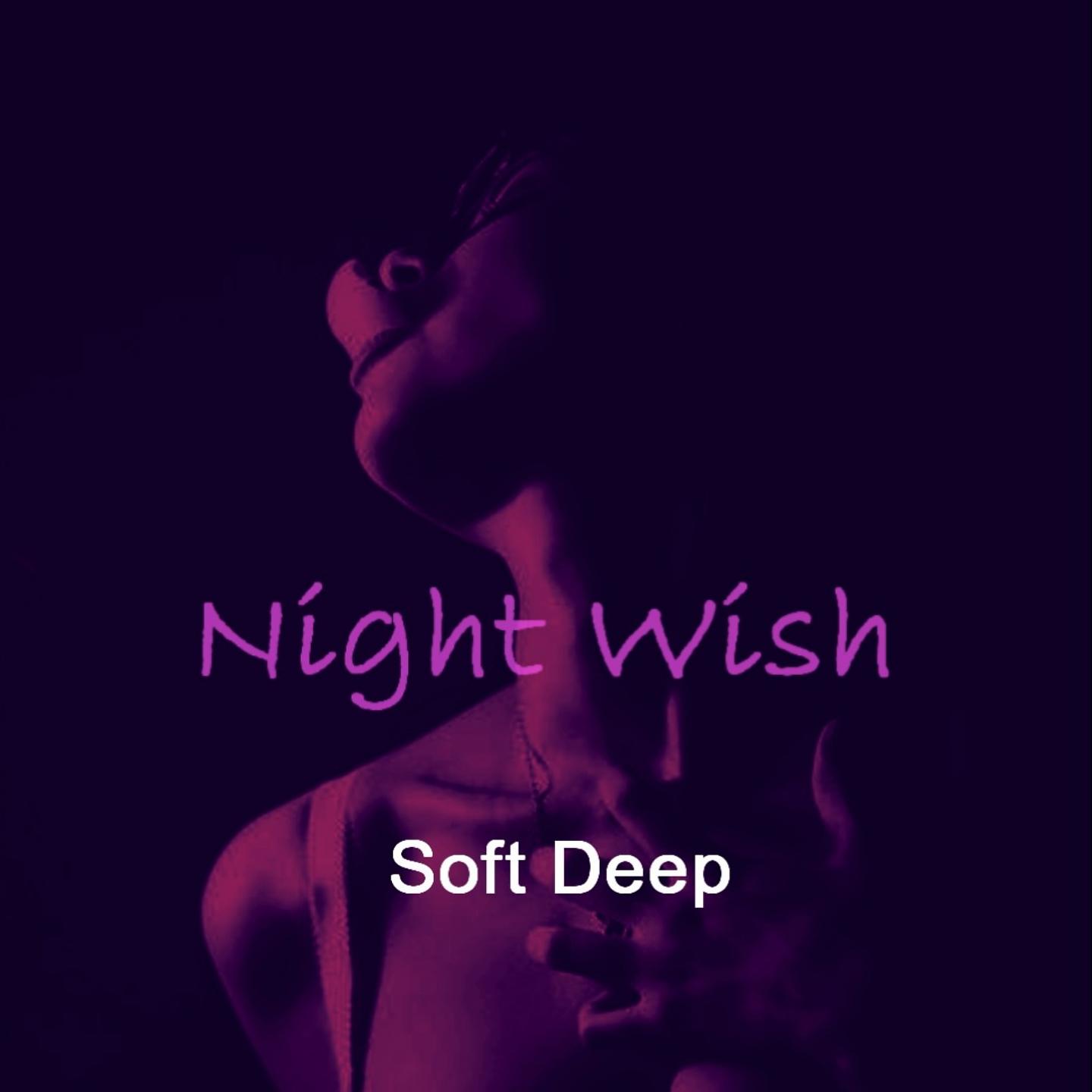 Постер альбома Night Wish