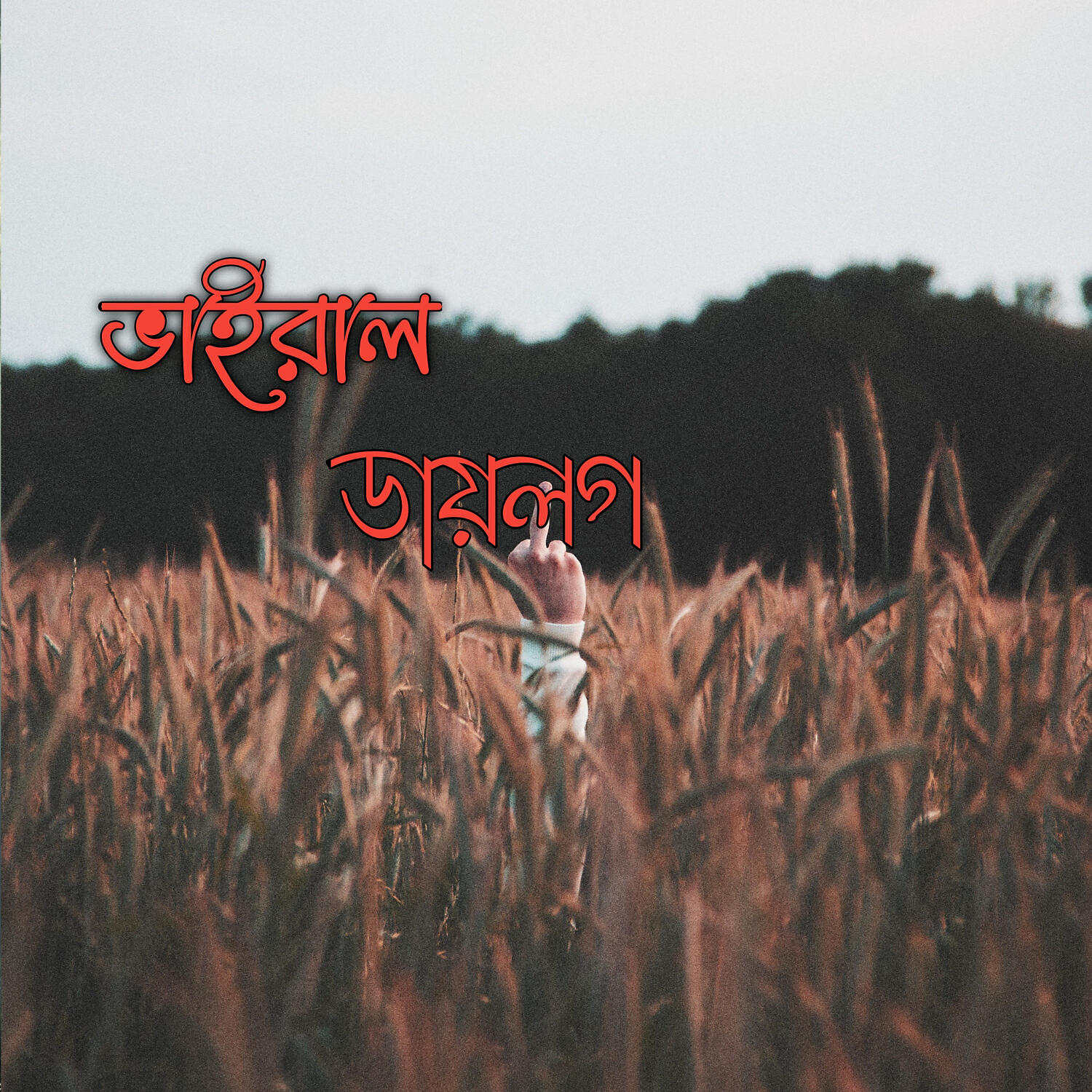 Mk Sabbir Rahman - Dame kom mane valo