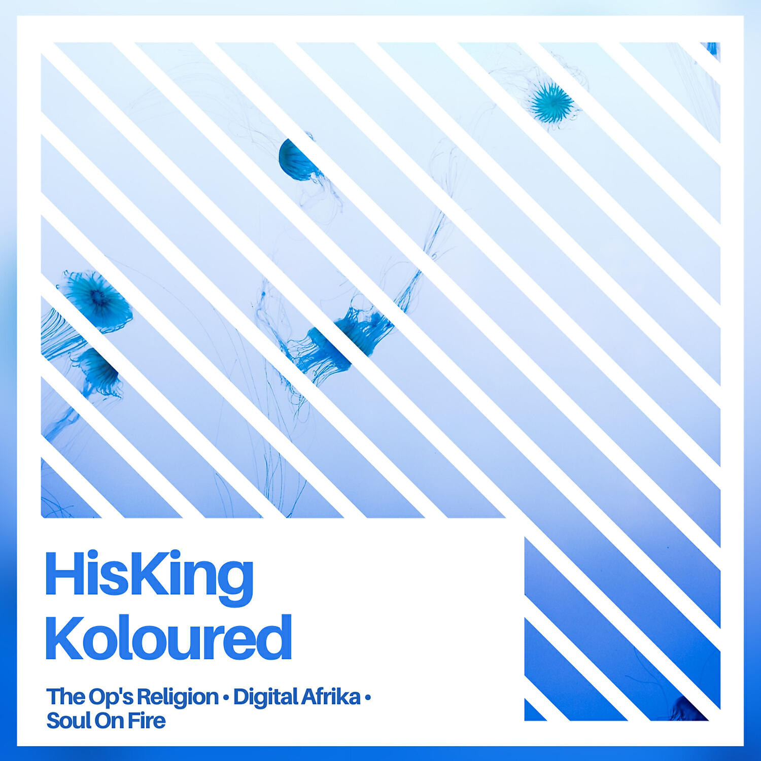 HisKing - Digital Afrika