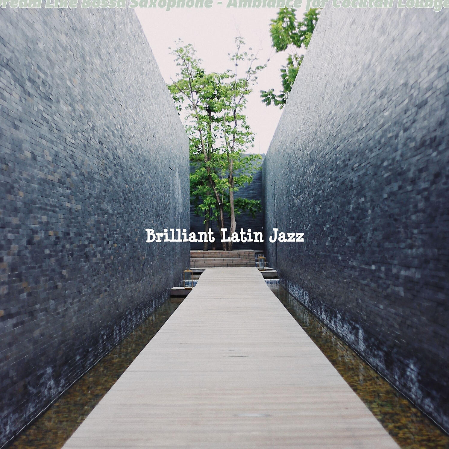 Brilliant Latin Jazz - Smart Bossa Nova - Vibe for Hotel Restaurants