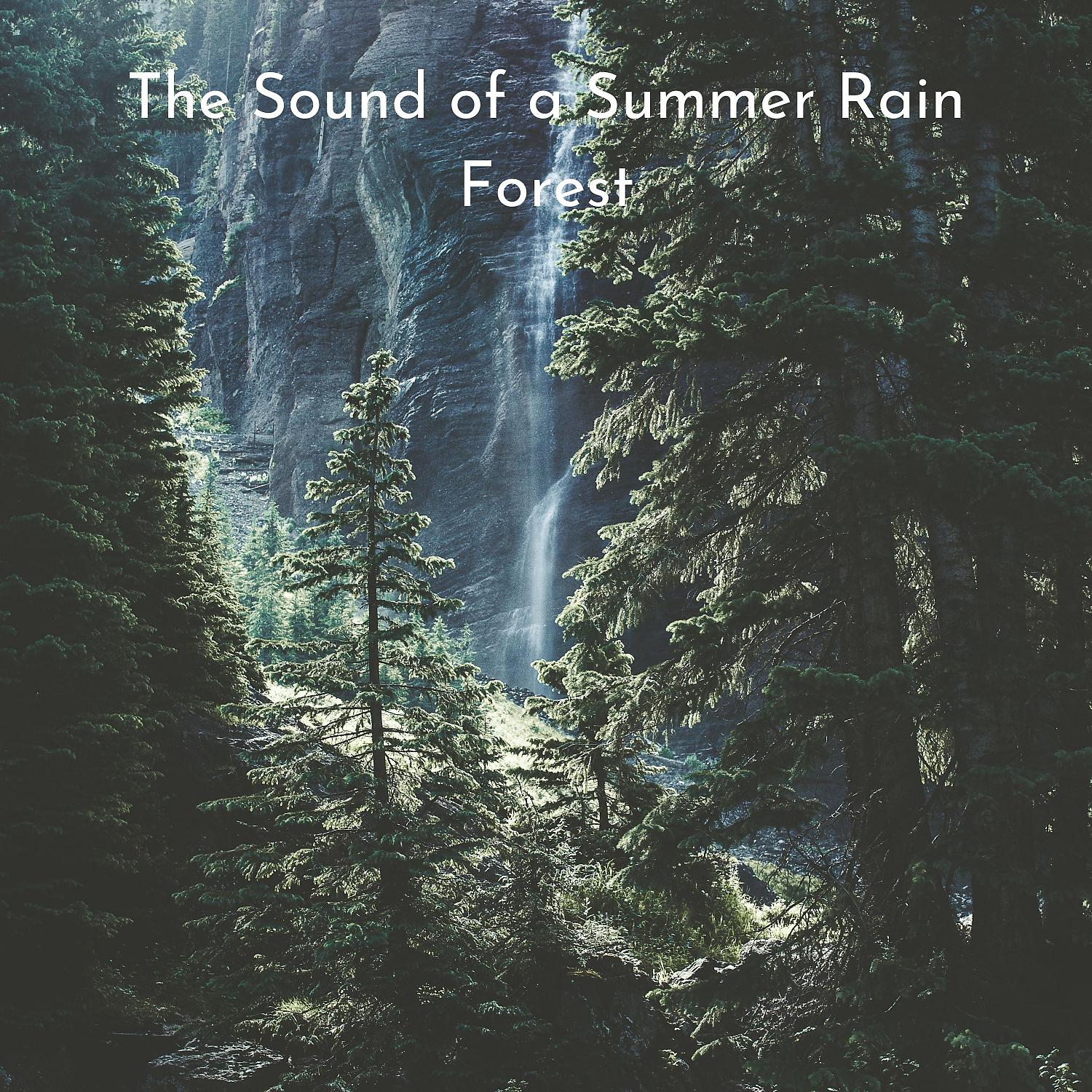 Постер альбома The Sound of a Summer Rain Forest