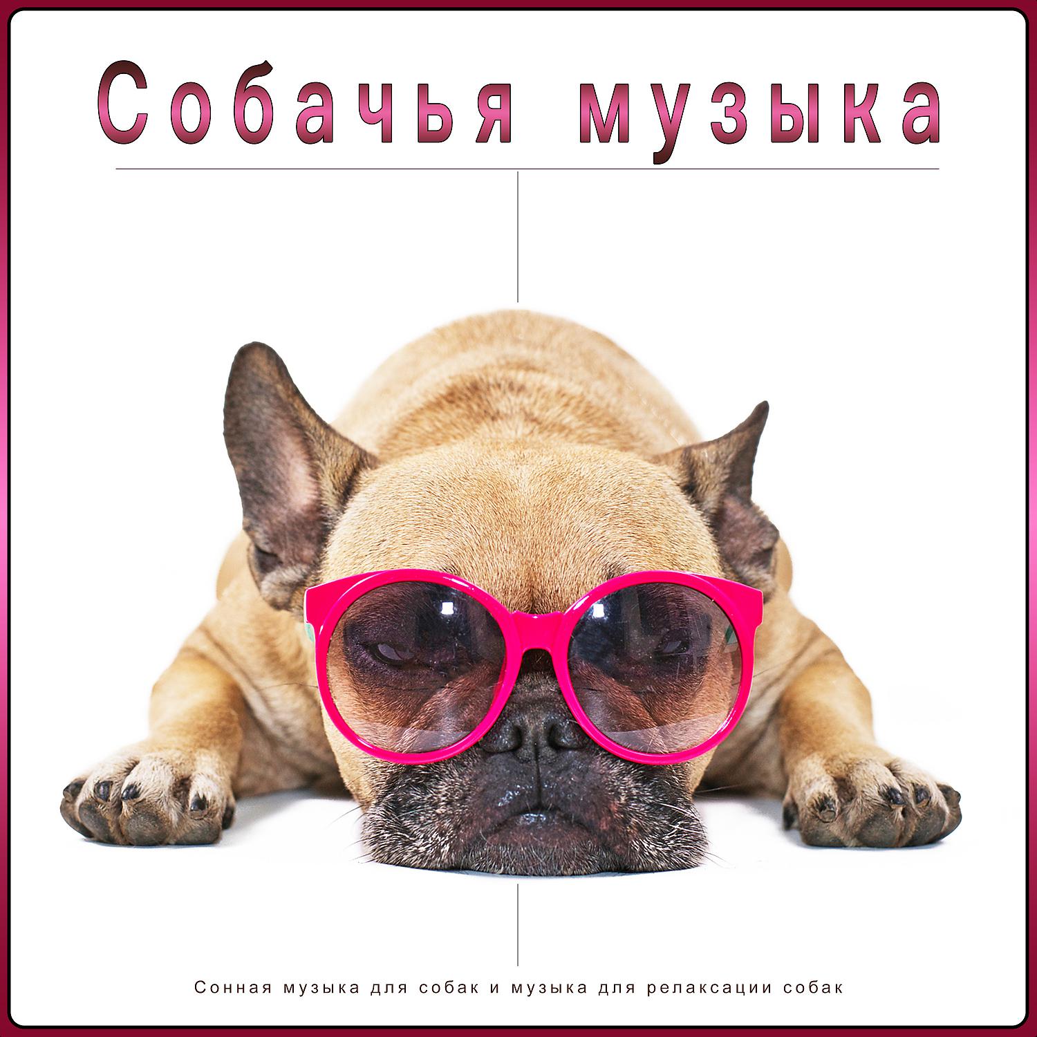 Собачья музыка - Успокаивающие колыбельные для малышей