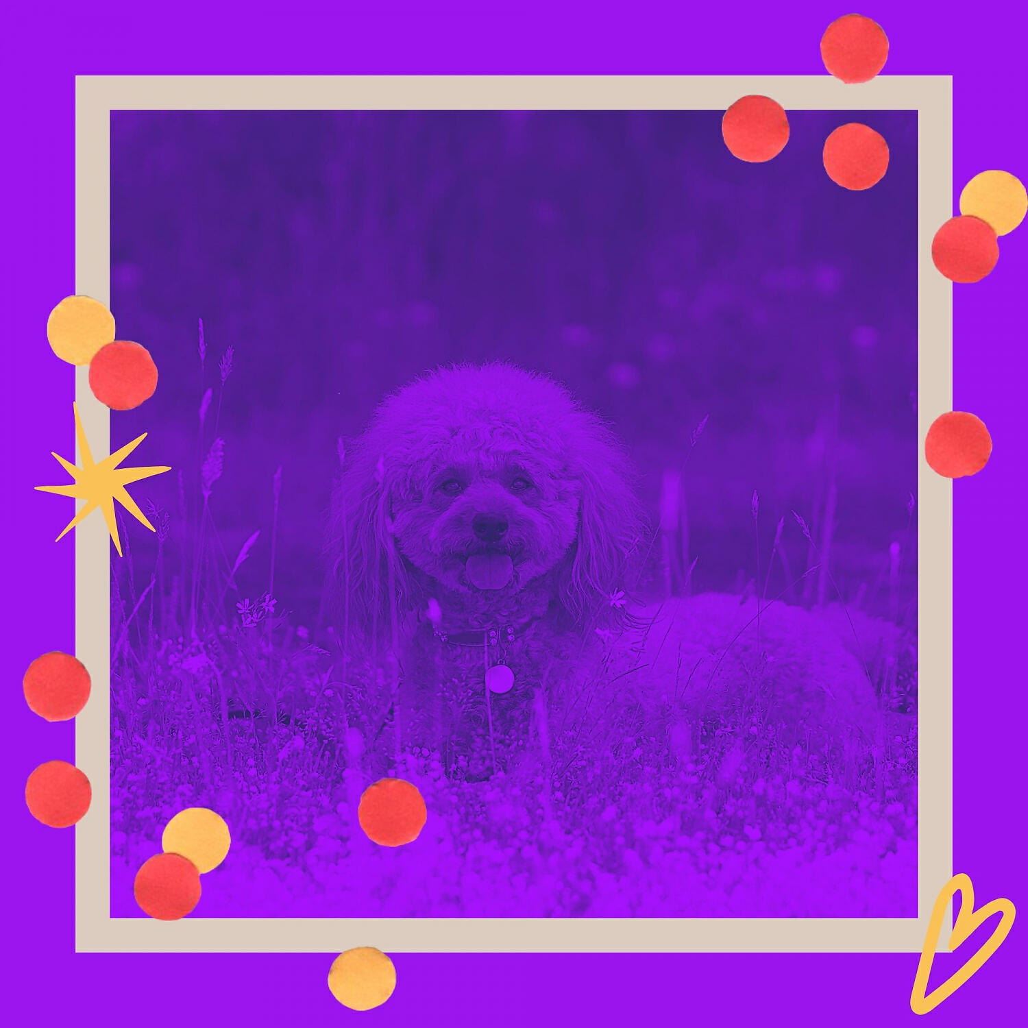 Relaxing Dog Music Play List - Brilliant Harps and Guitars - Vibe for Calming Your Dog
