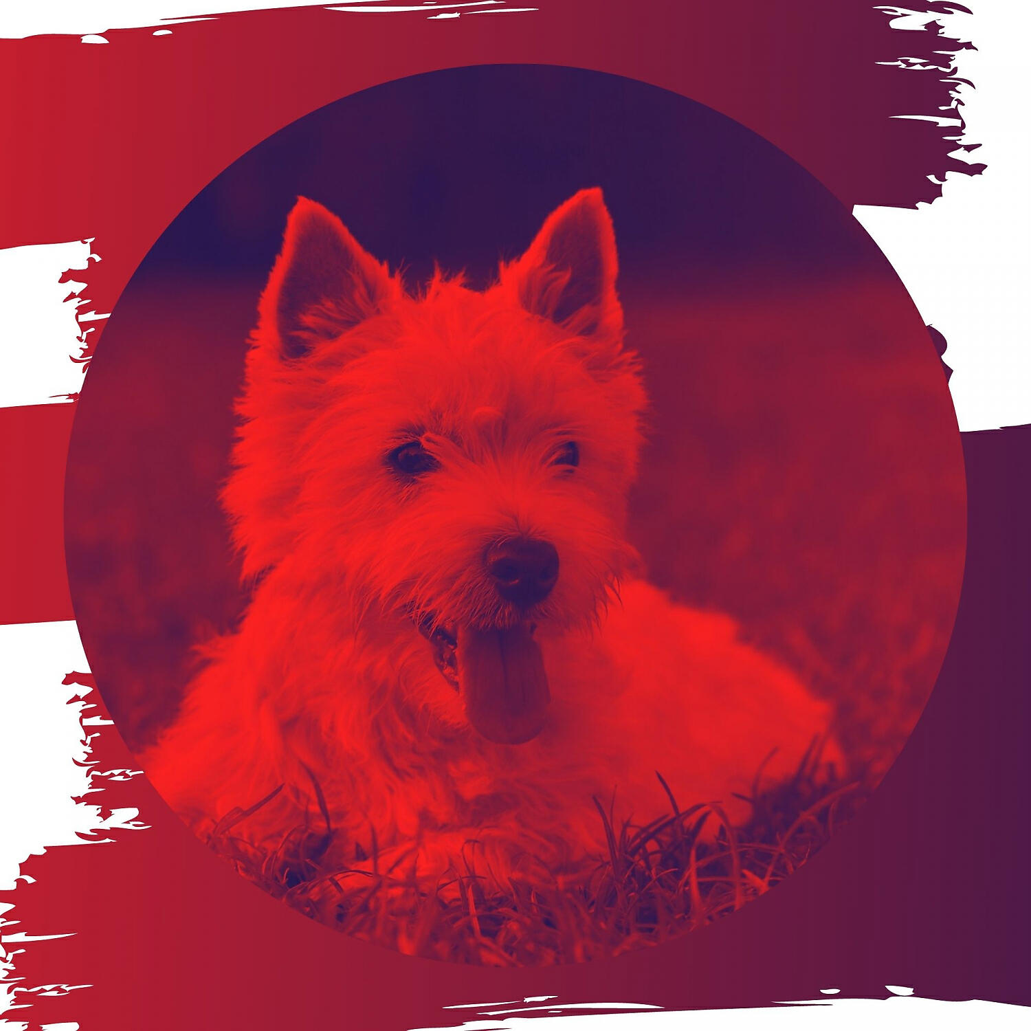 Relax My Dog Music - Artistic Ambience for Sleeping Dogs