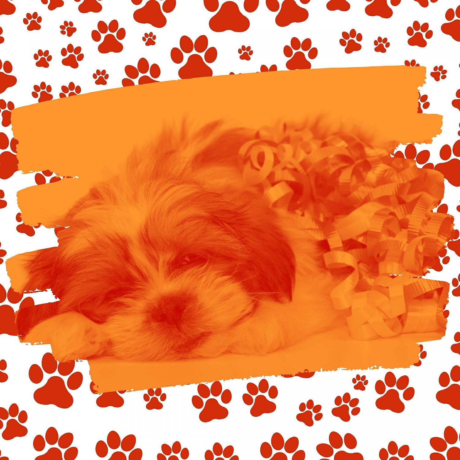 Downtempo Doggy Music - Amazing Ambience for Calming Your Dog