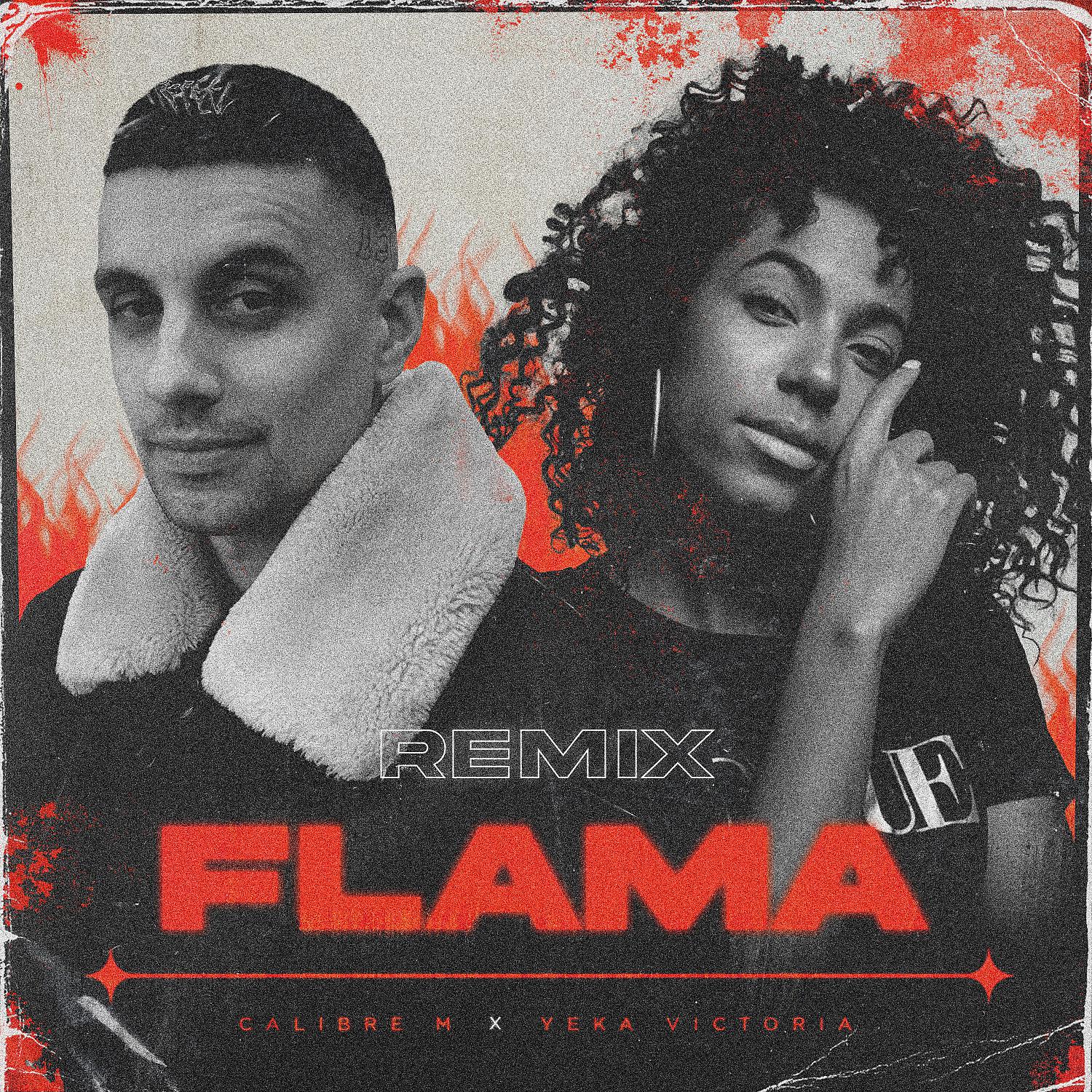 Постер альбома Flama (Remix)