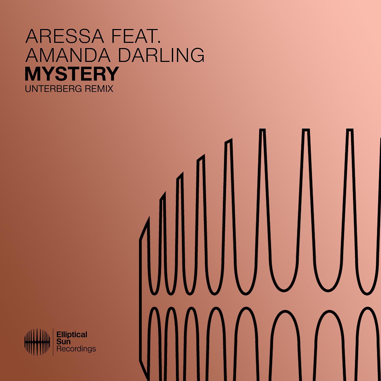 Постер альбома Mystery (Unterberg Remix)