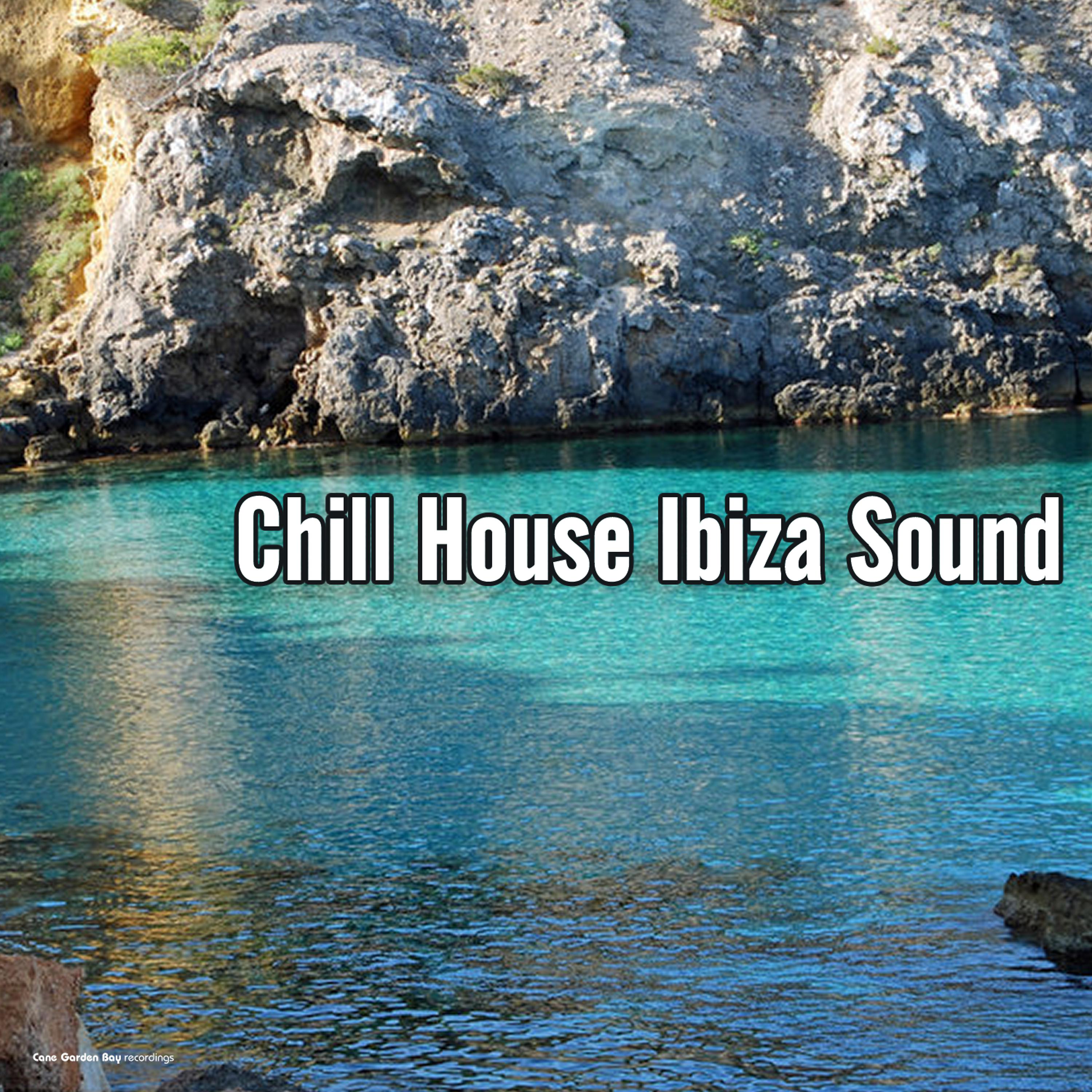 Постер альбома Chill House Ibiza Sound
