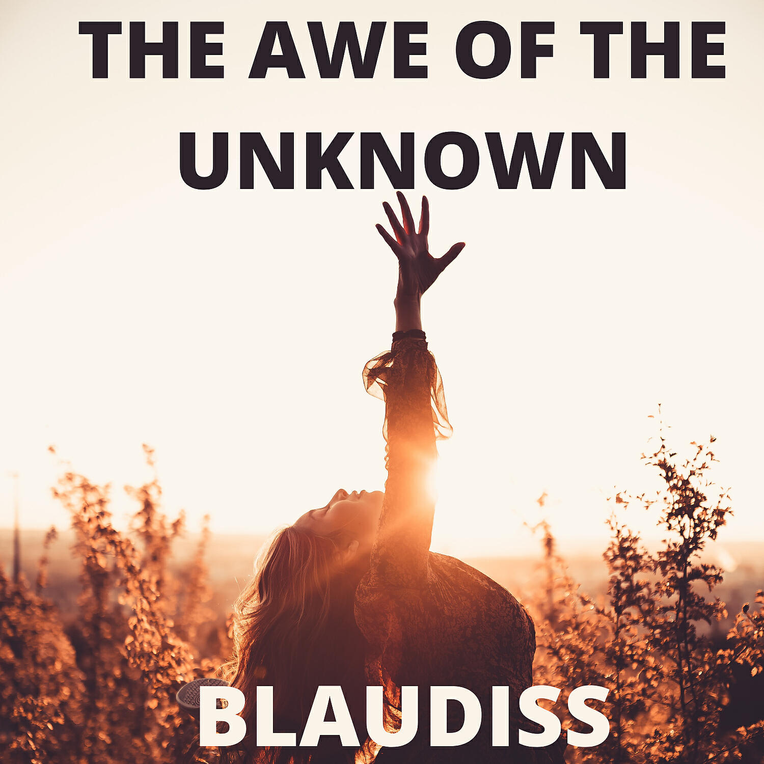 BlauDisS - The Awe of The Unknown