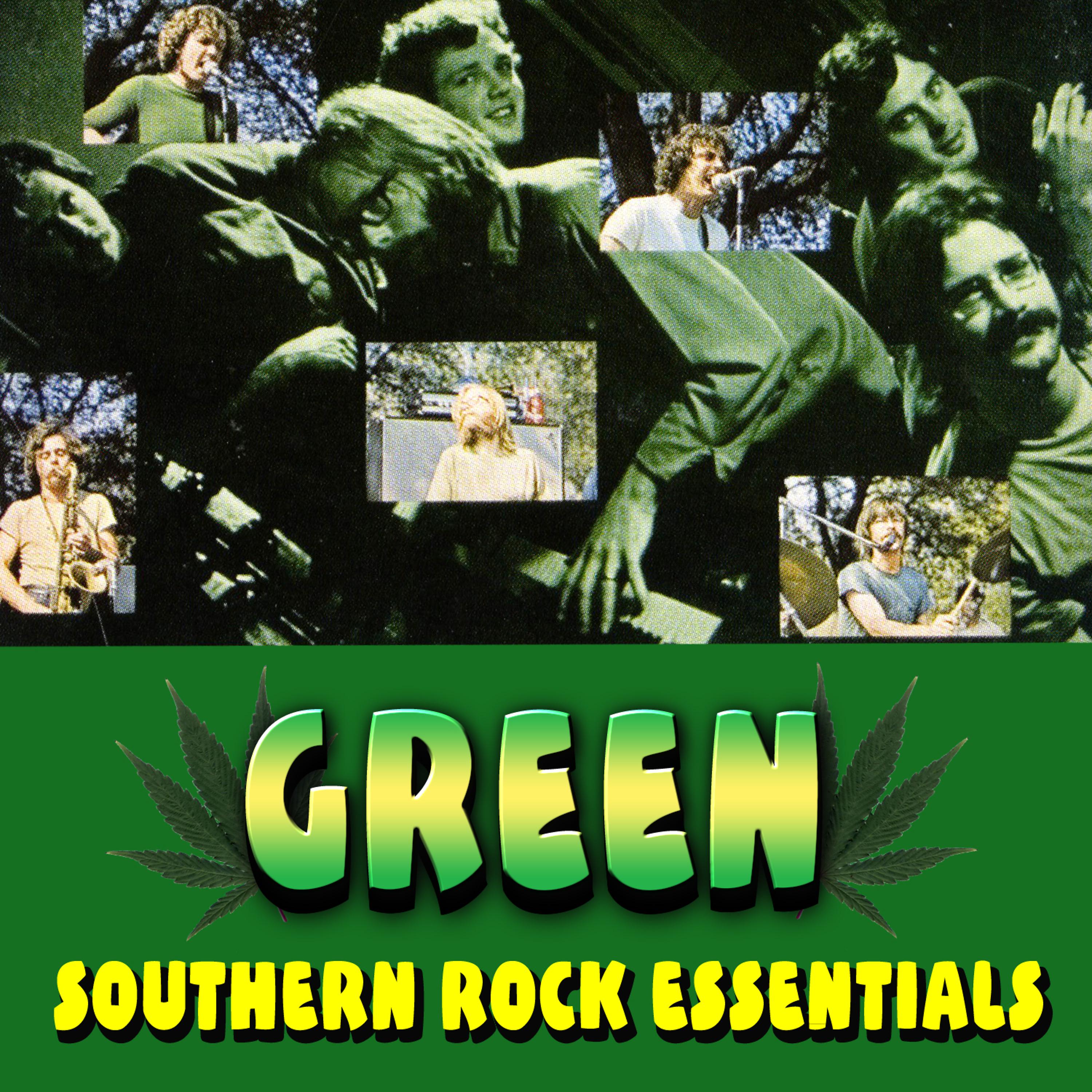Постер альбома Southern Rock Essentials