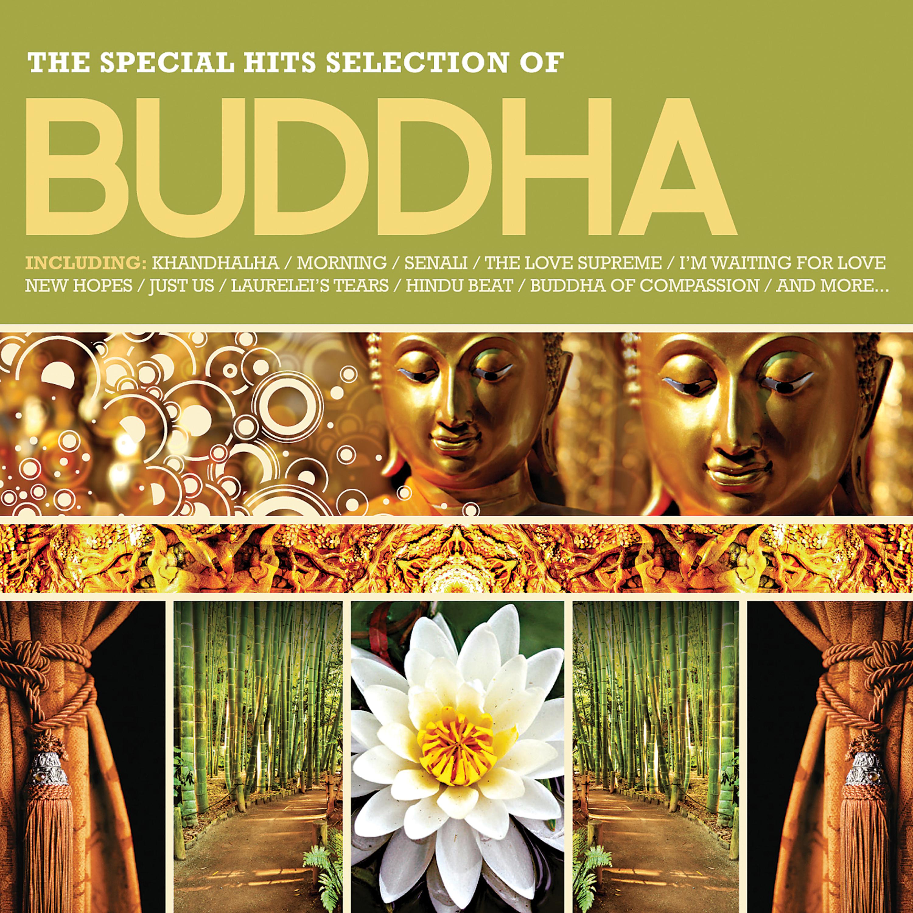 Постер альбома Buddha: The Special Hits Selection
