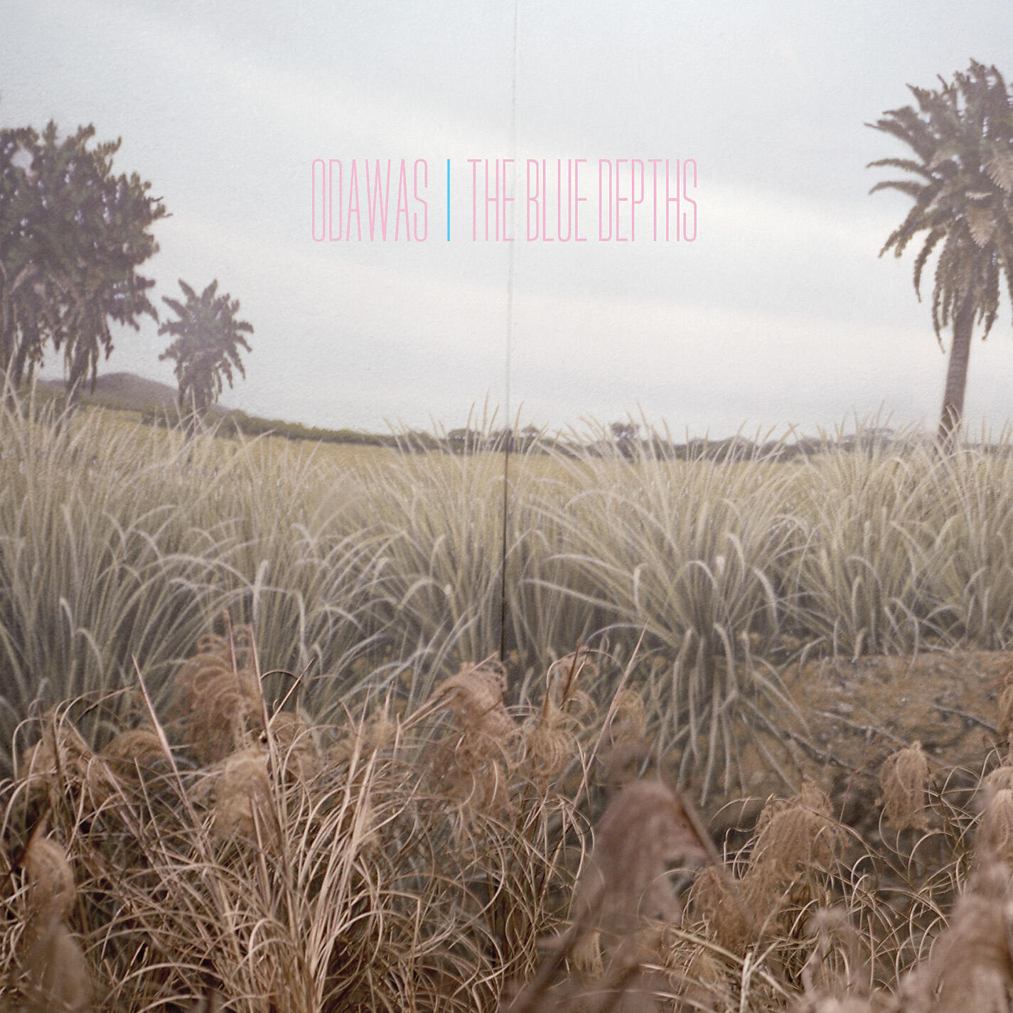Odawas - Moonlight/Twilight