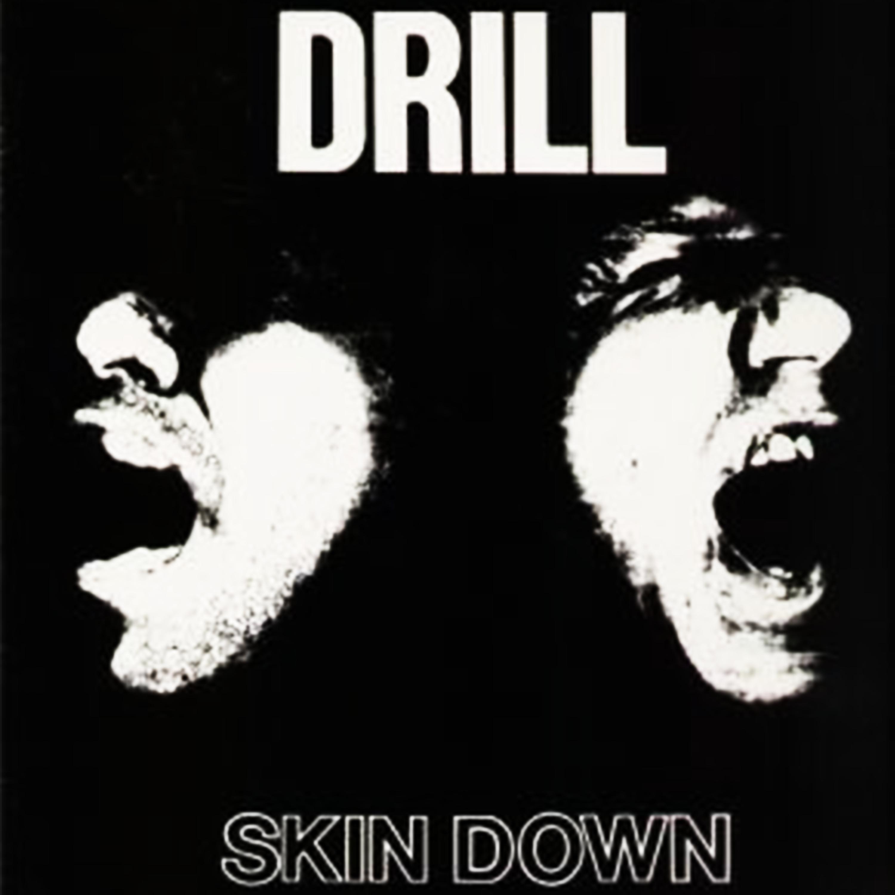 Постер альбома Skin Down