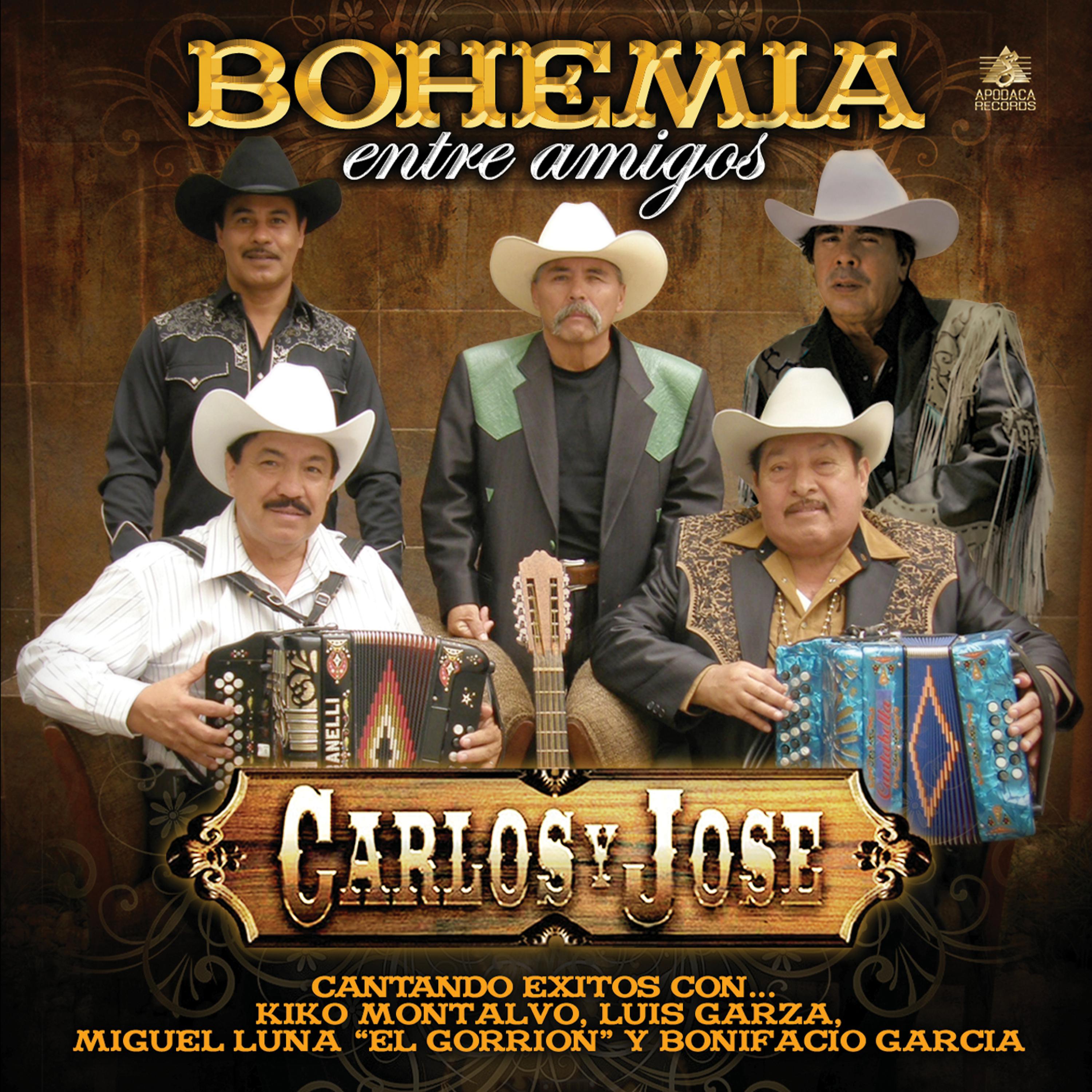 Постер альбома Bohemia Entre Amigos