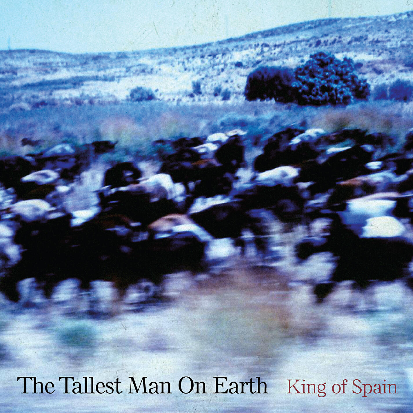 The Tallest Man On Earth - Where I Thought I Met the Angels
