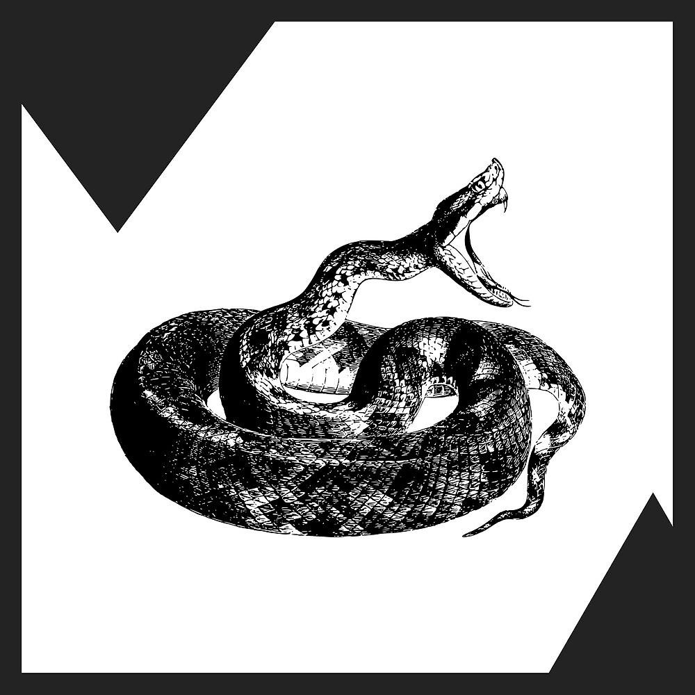 Постер альбома змей