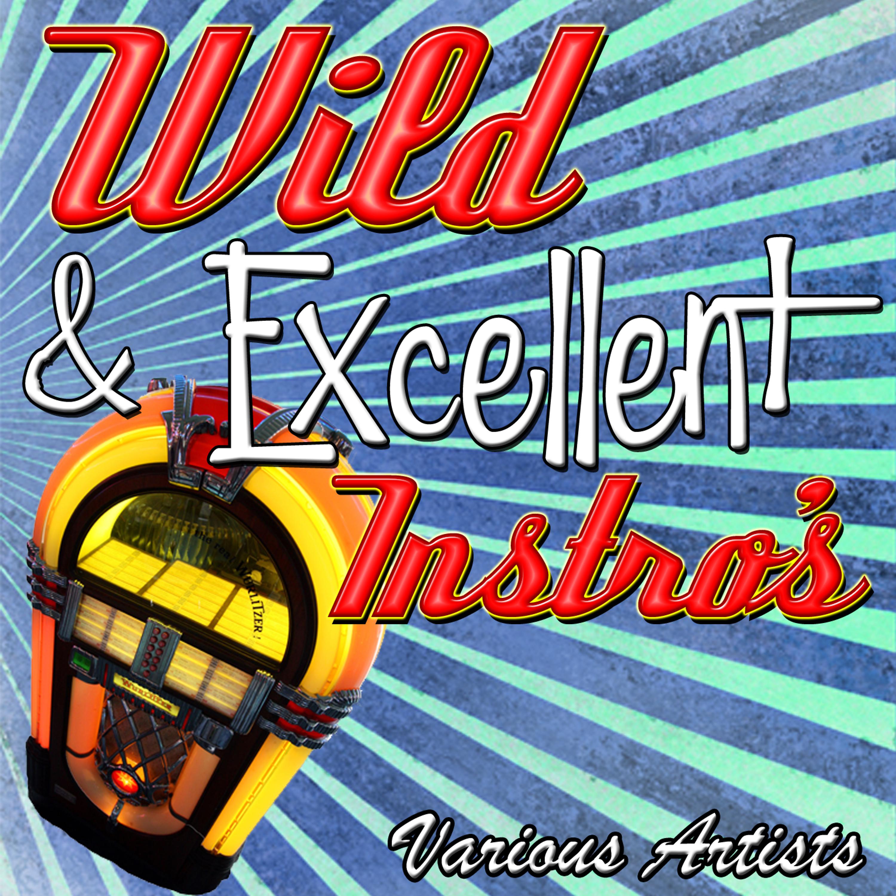 Постер альбома Wild & Excellent Instro's