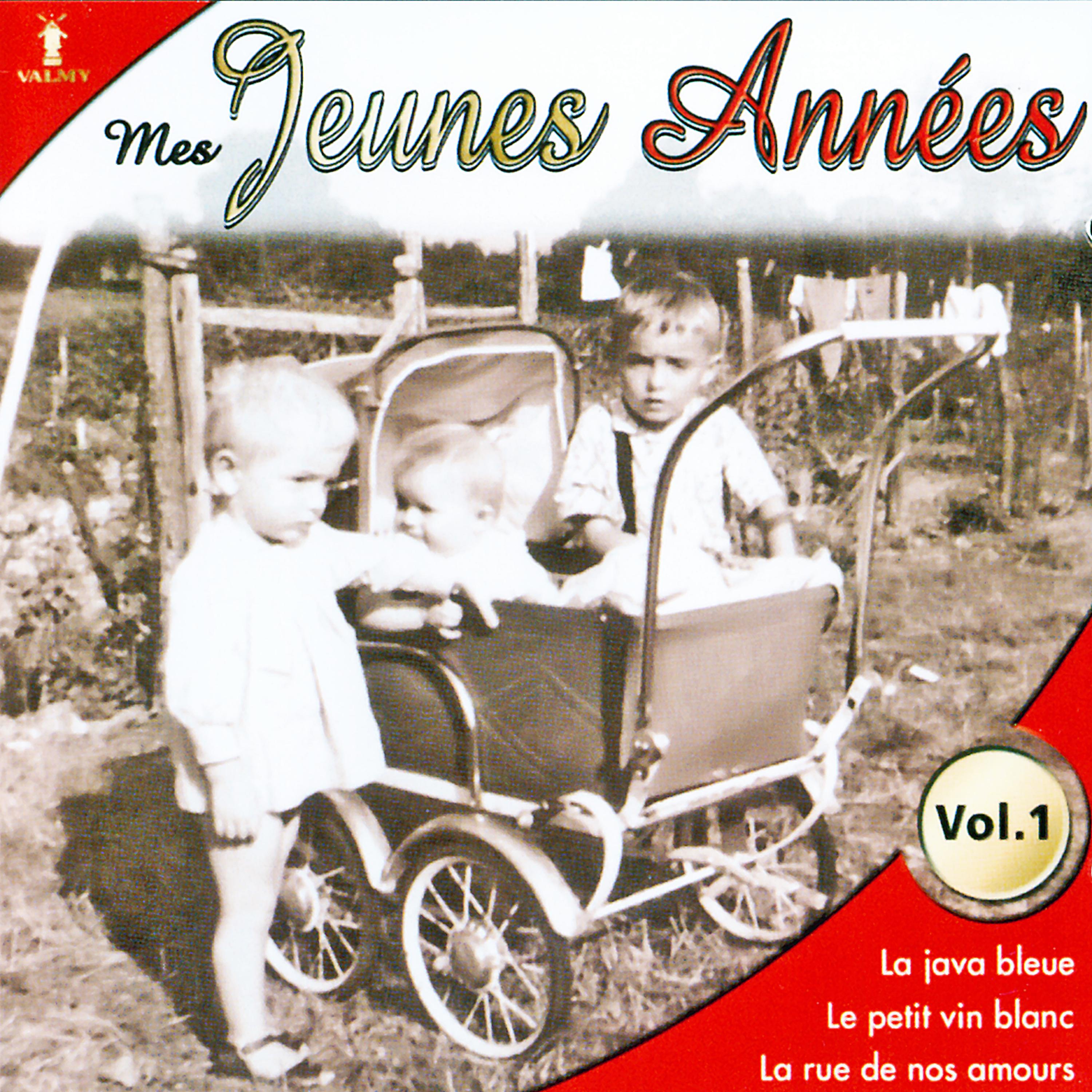 Постер альбома Mes jeunes années Vol. 1
