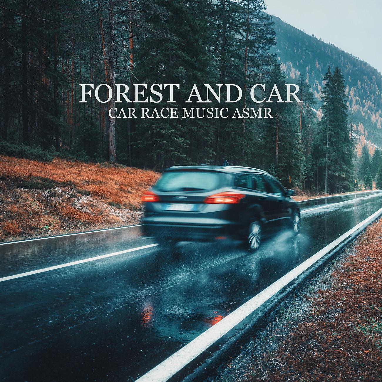 Постер альбома Forest and Car