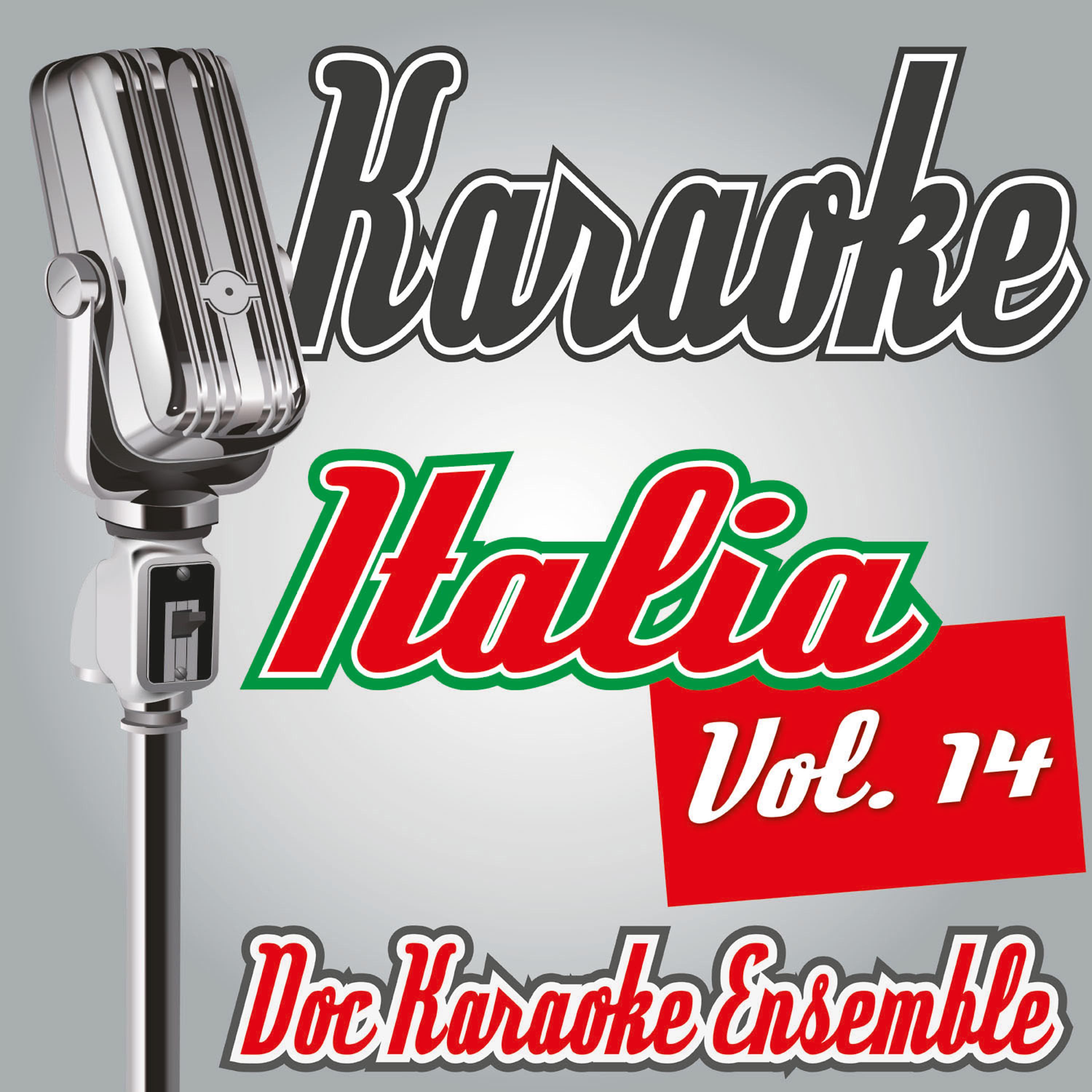 Постер альбома Karaoke Italia Vol. 14