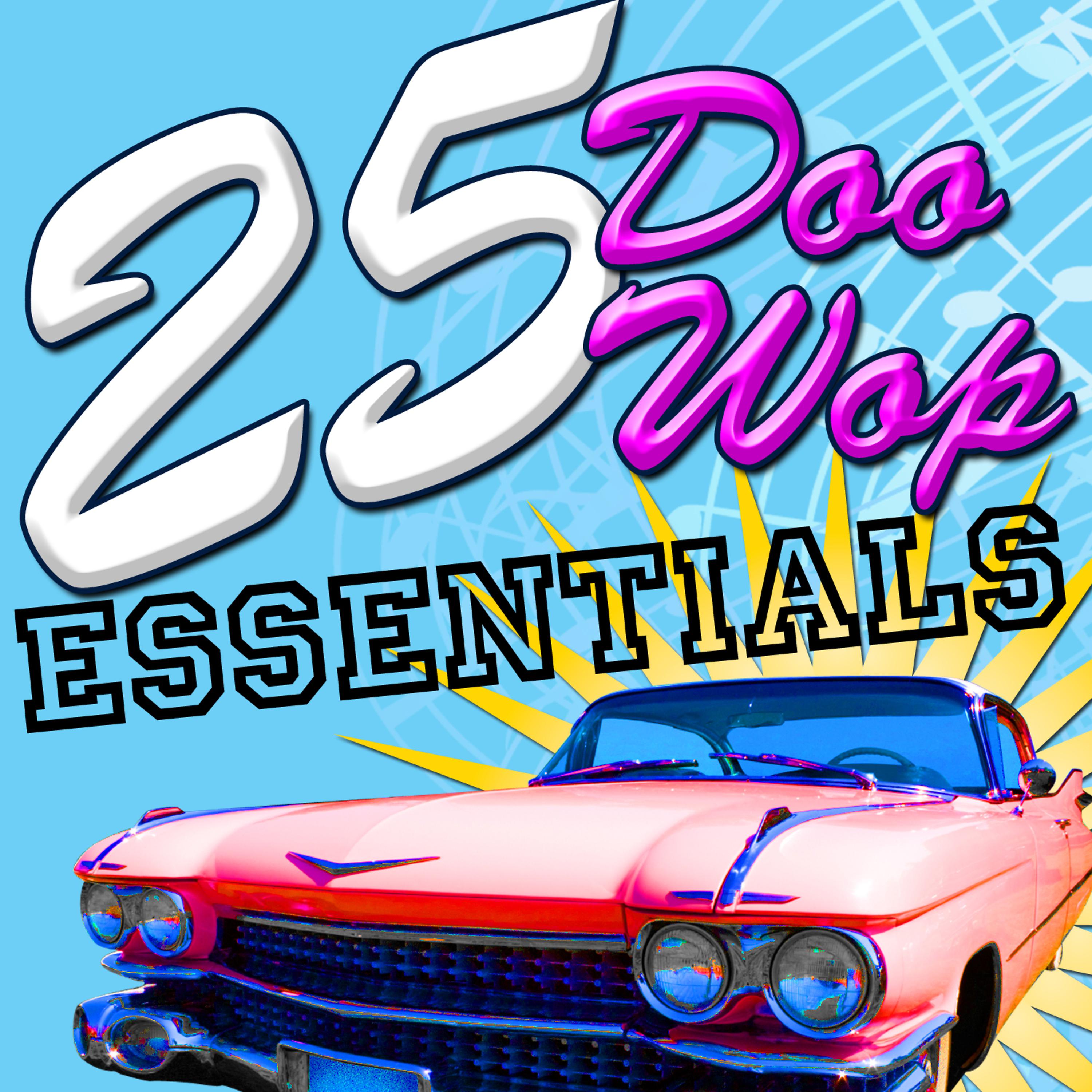 Постер альбома 25 Doo Wop Essentials
