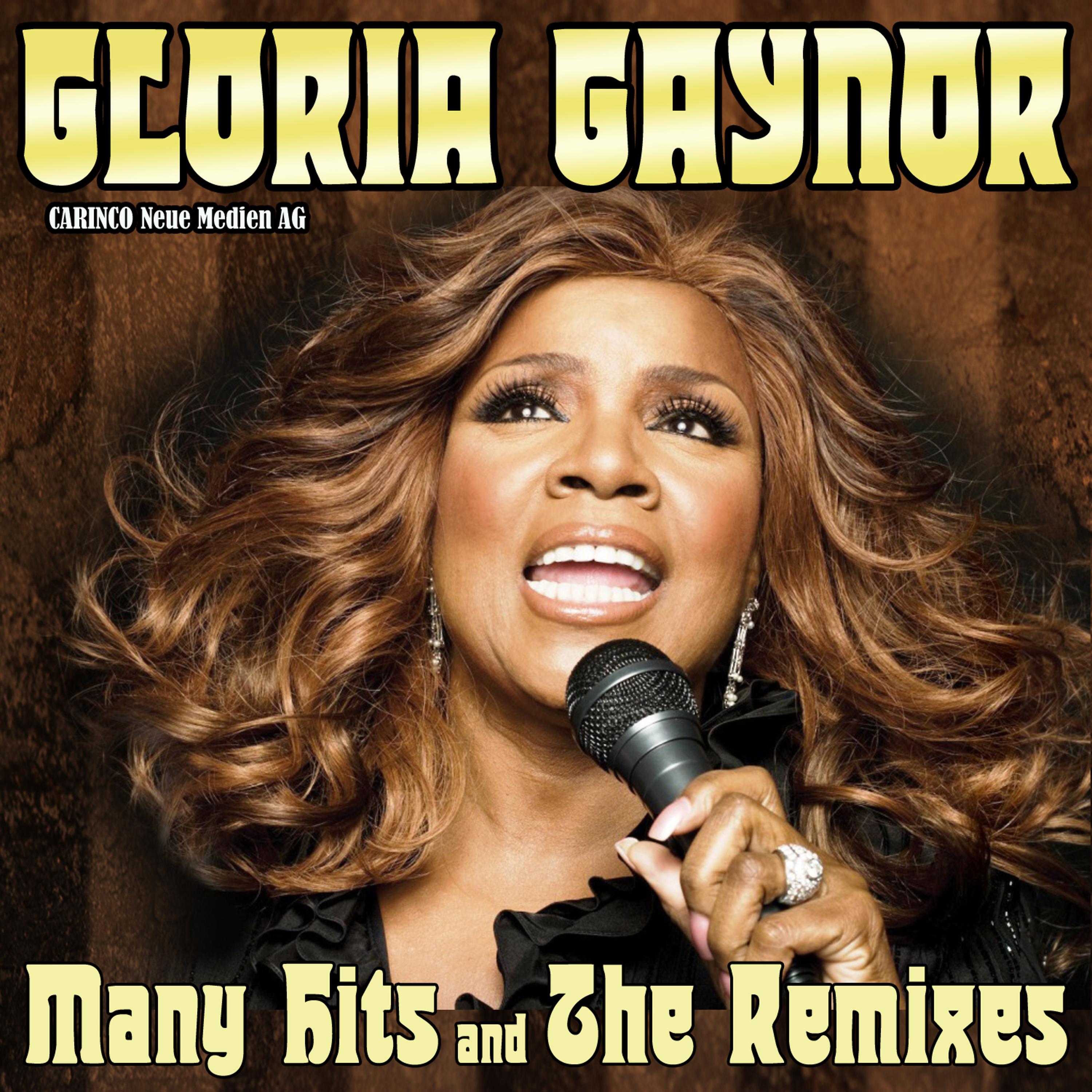 Постер альбома Gloria Gaynor - Love Affair (Original-Recordings)