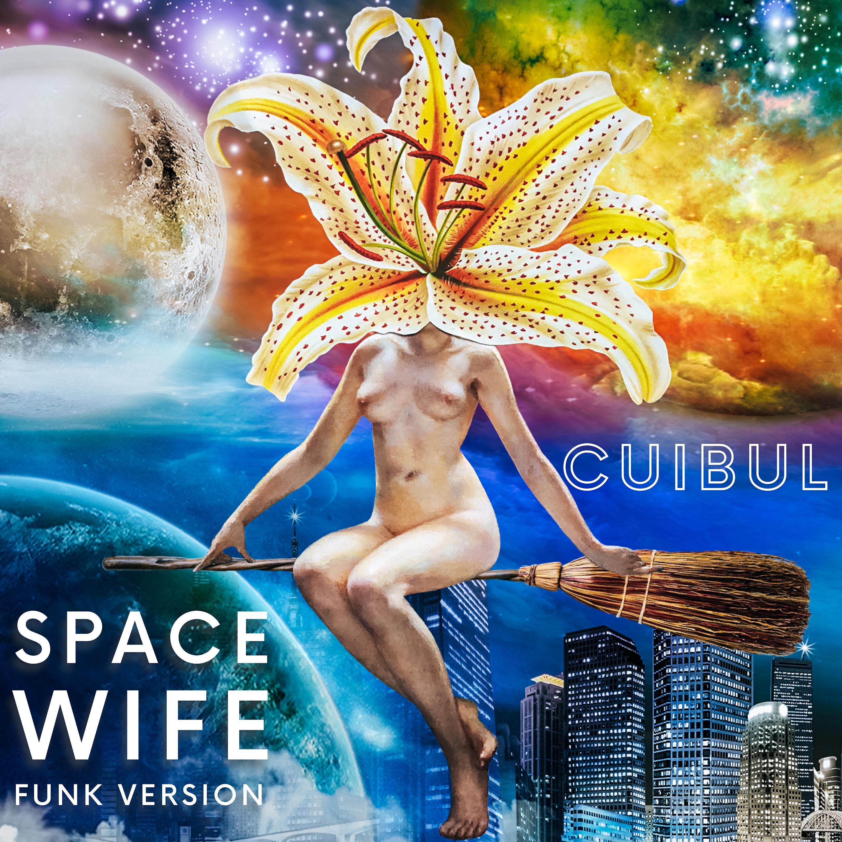 Постер альбома Space Wife (Funk Version)