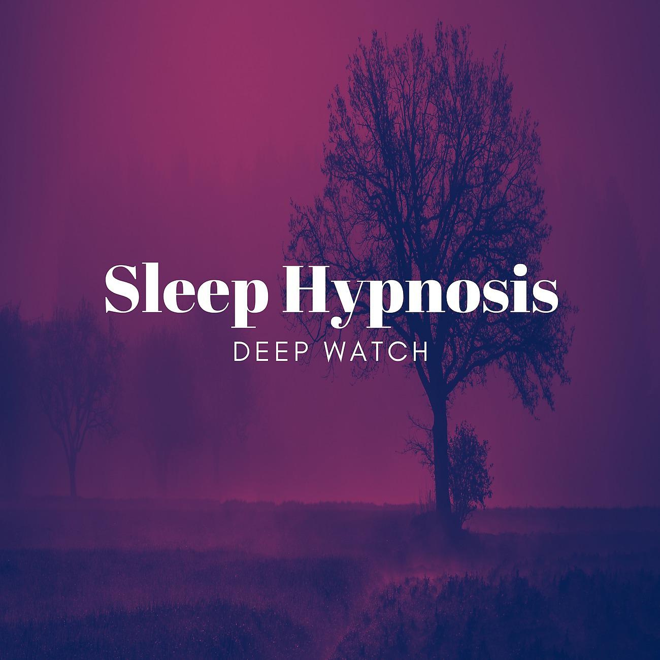 Постер альбома Sleep Hypnosis