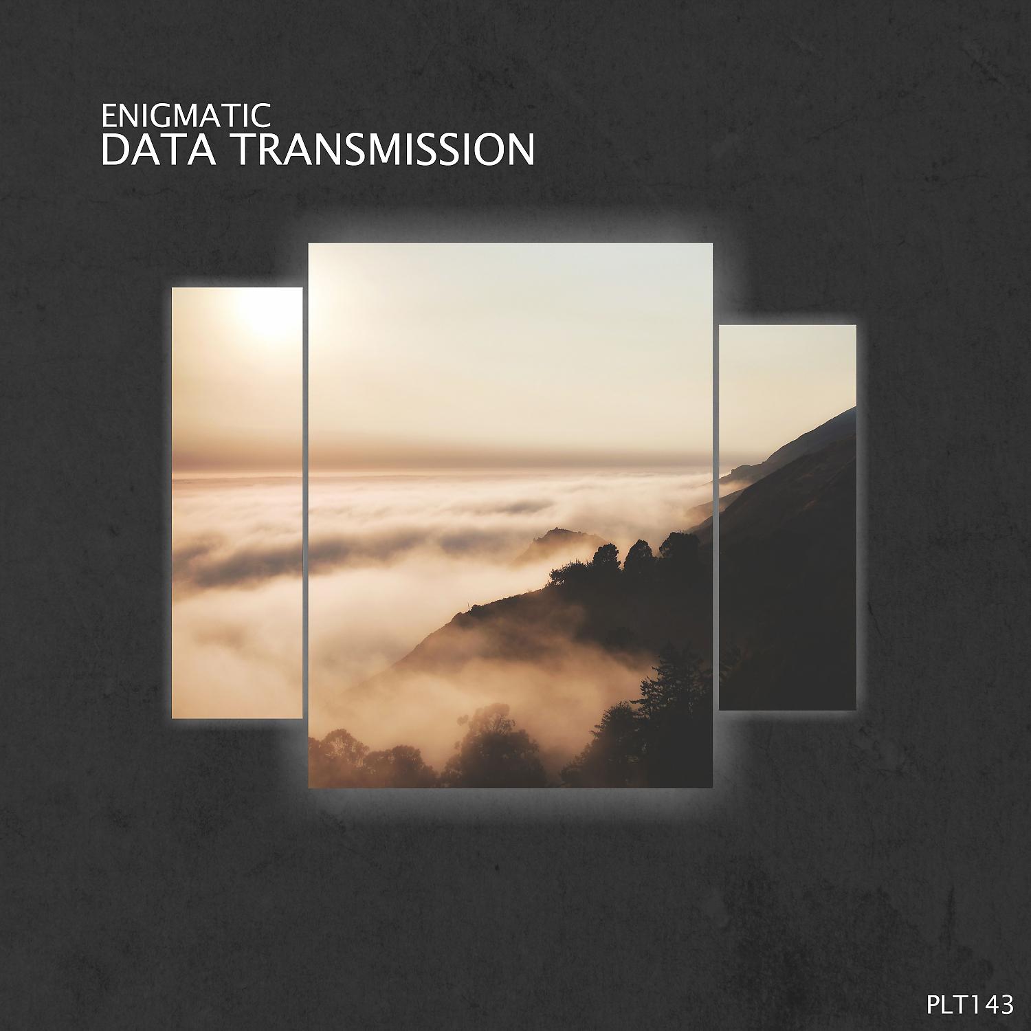 Постер альбома Data Transmission