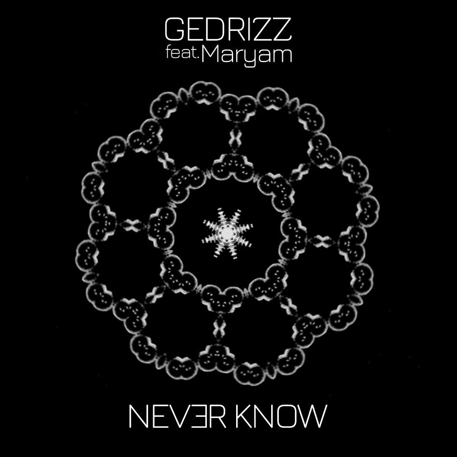 Постер альбома Never know (feat. Maryam)