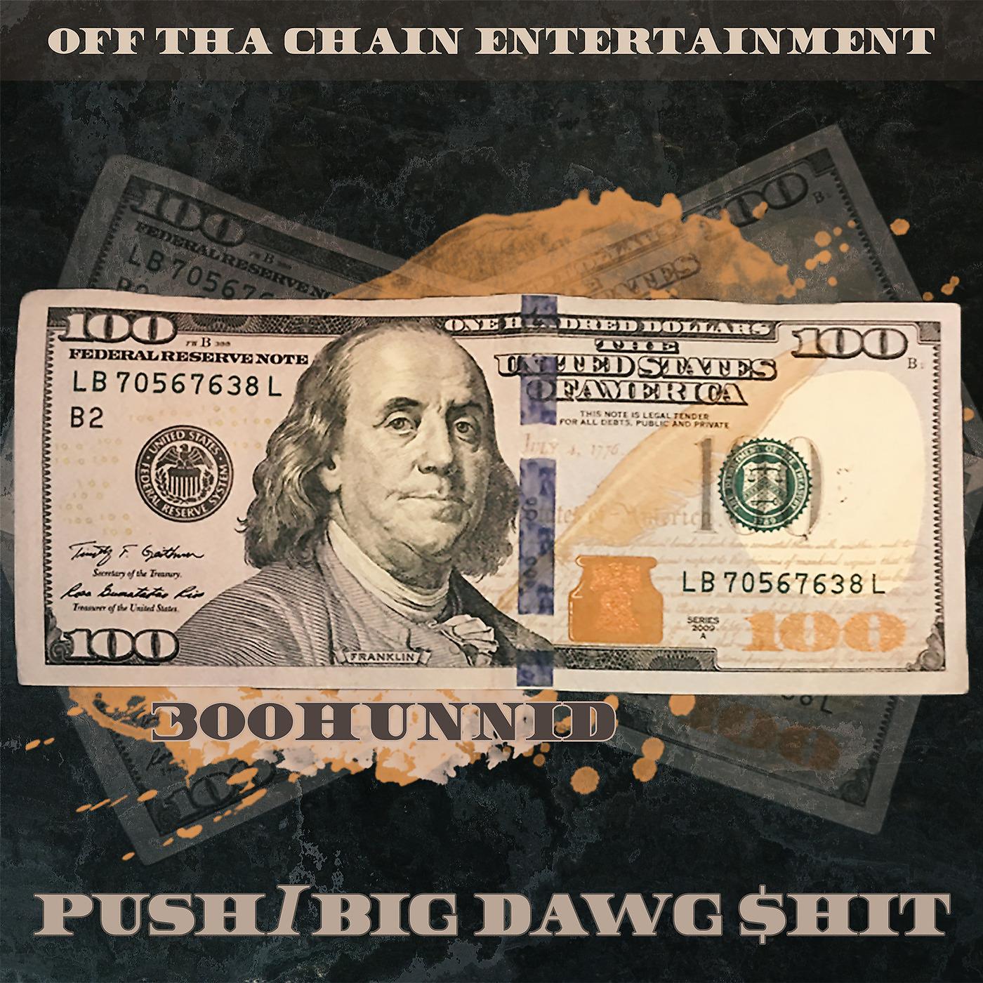 Постер альбома Push/Big Dawg Shit