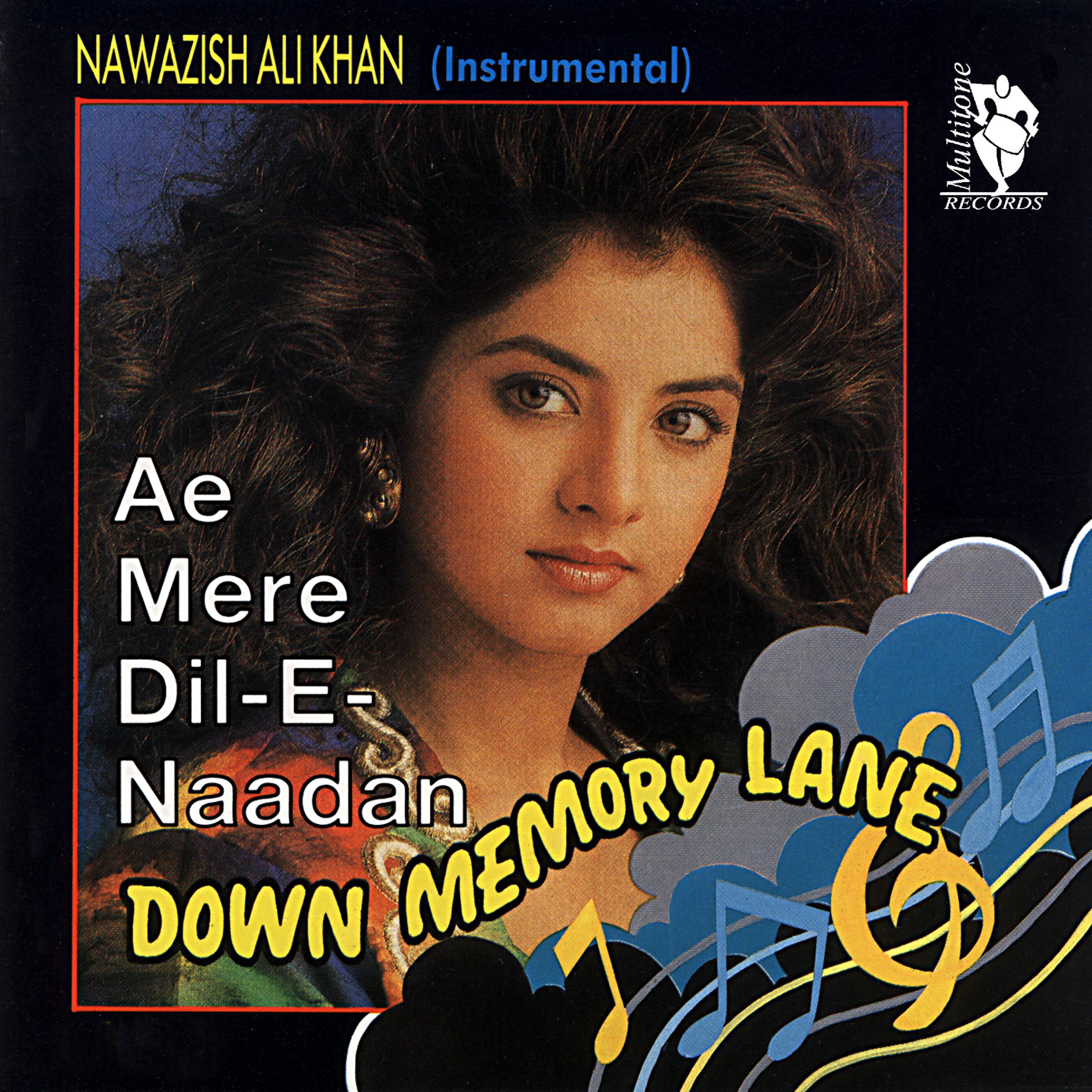 Постер альбома Down Memory Lane - Ae Mere Dil -E- Naadan