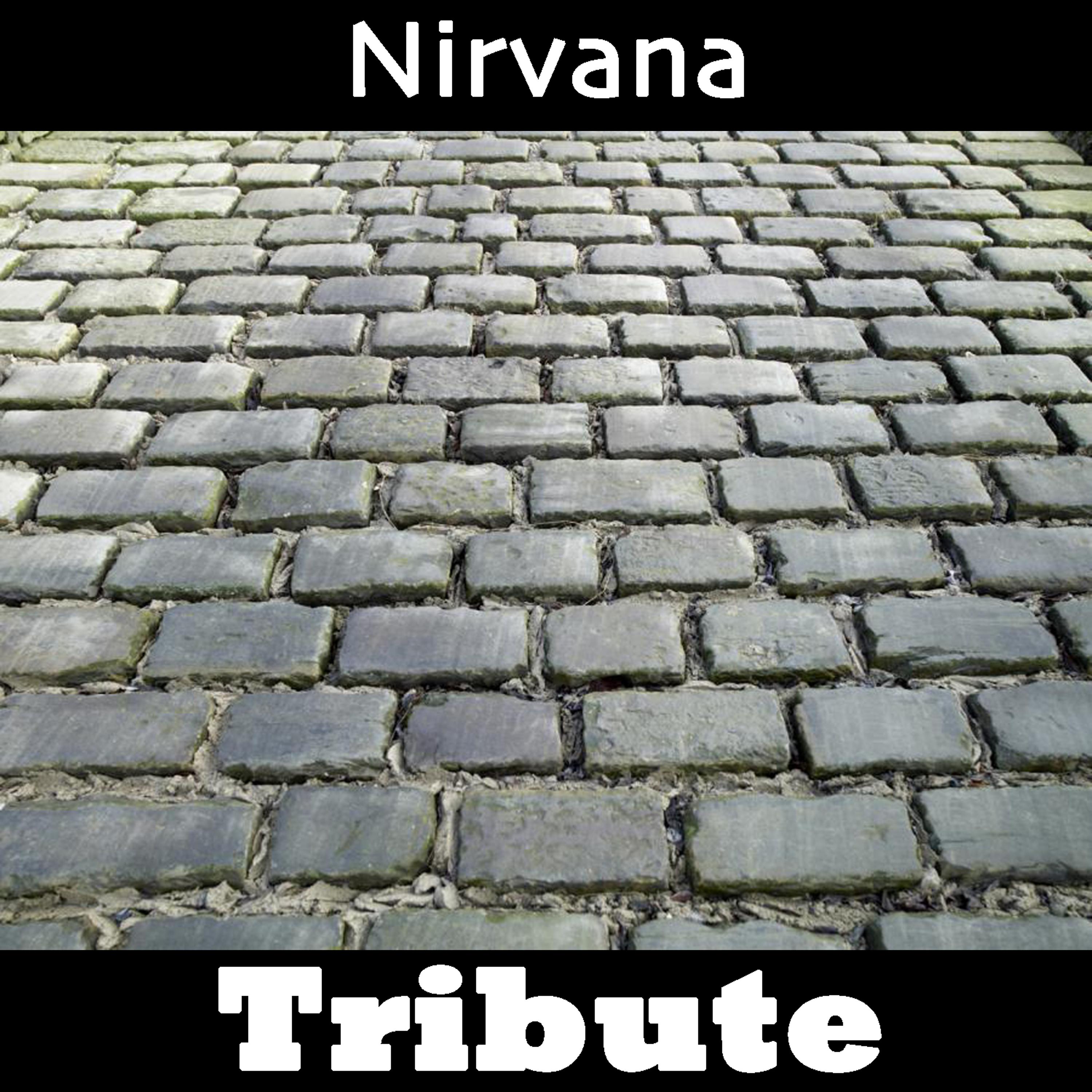 Постер альбома In Bloom: Tribute To Nirvana