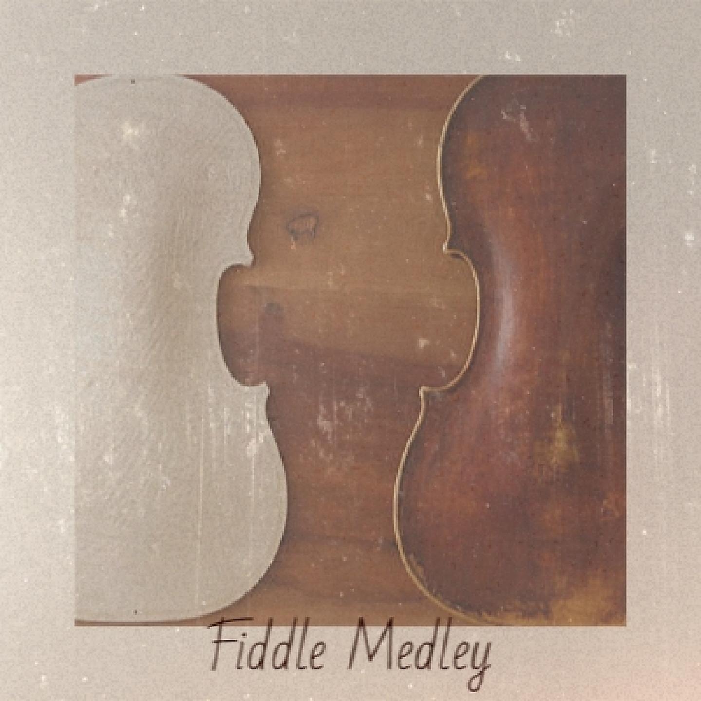 Постер альбома Fiddle Medley