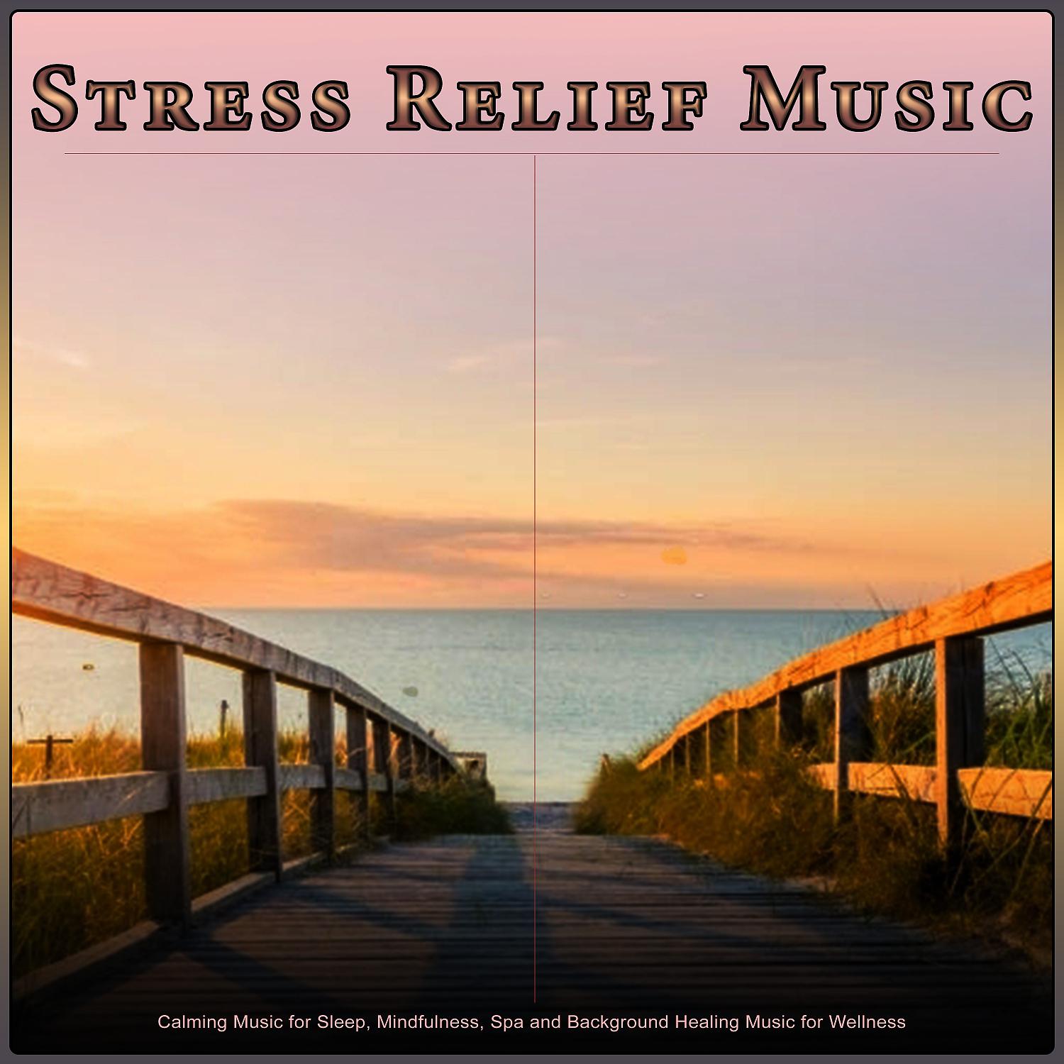 Постер альбома Stress Relief Music: Calming Music for Sleep, Mindfulness, Spa and Background Healing Music for Wellness