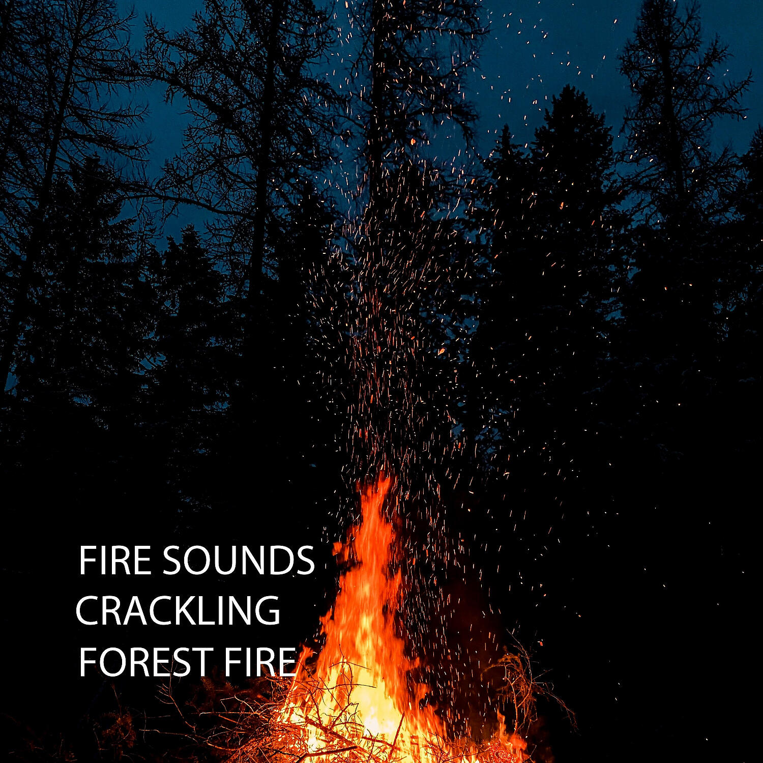 Study Alpha Waves - Fire Burning Music for Santa
