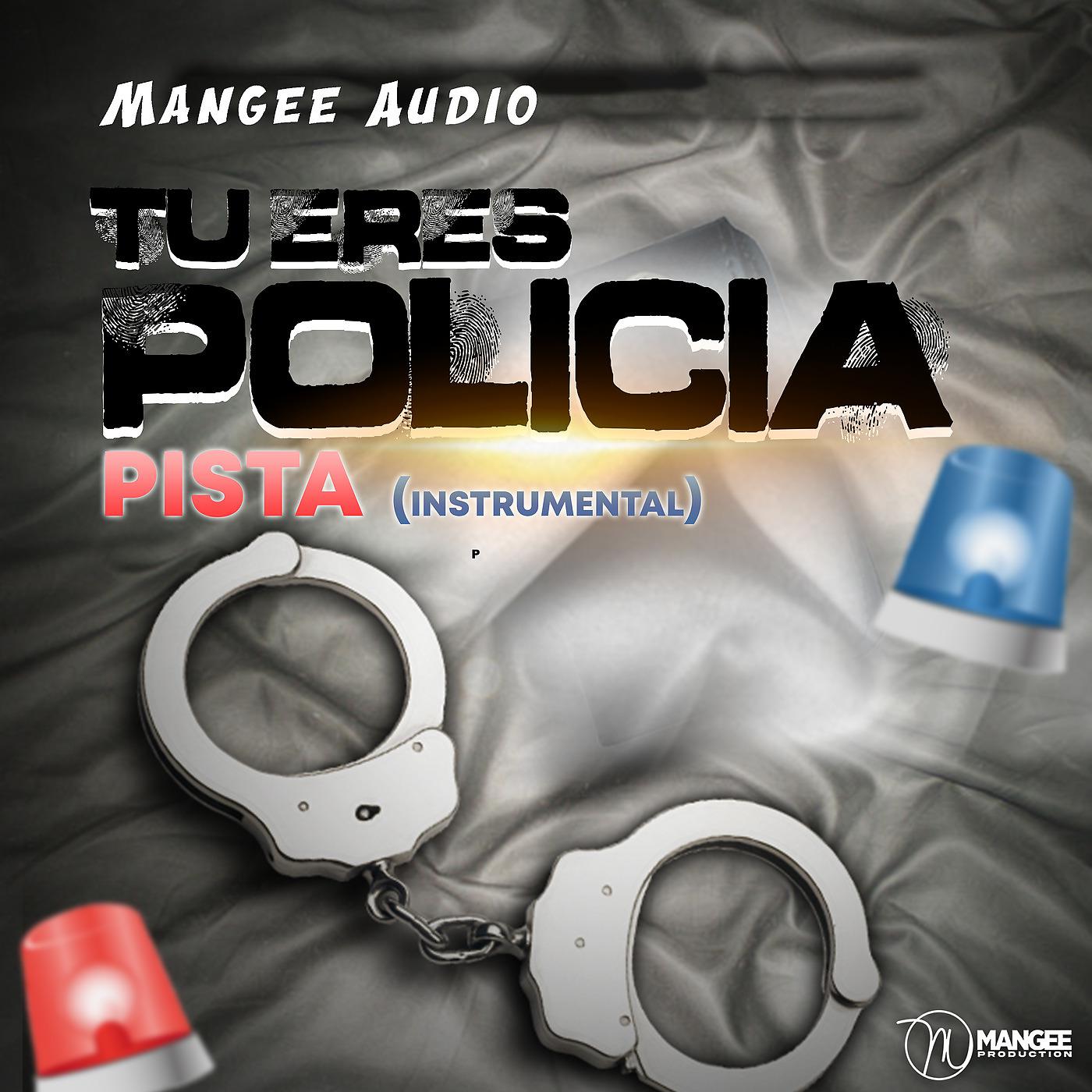 Постер альбома Tu Eres Policia Pista (Instrumental)