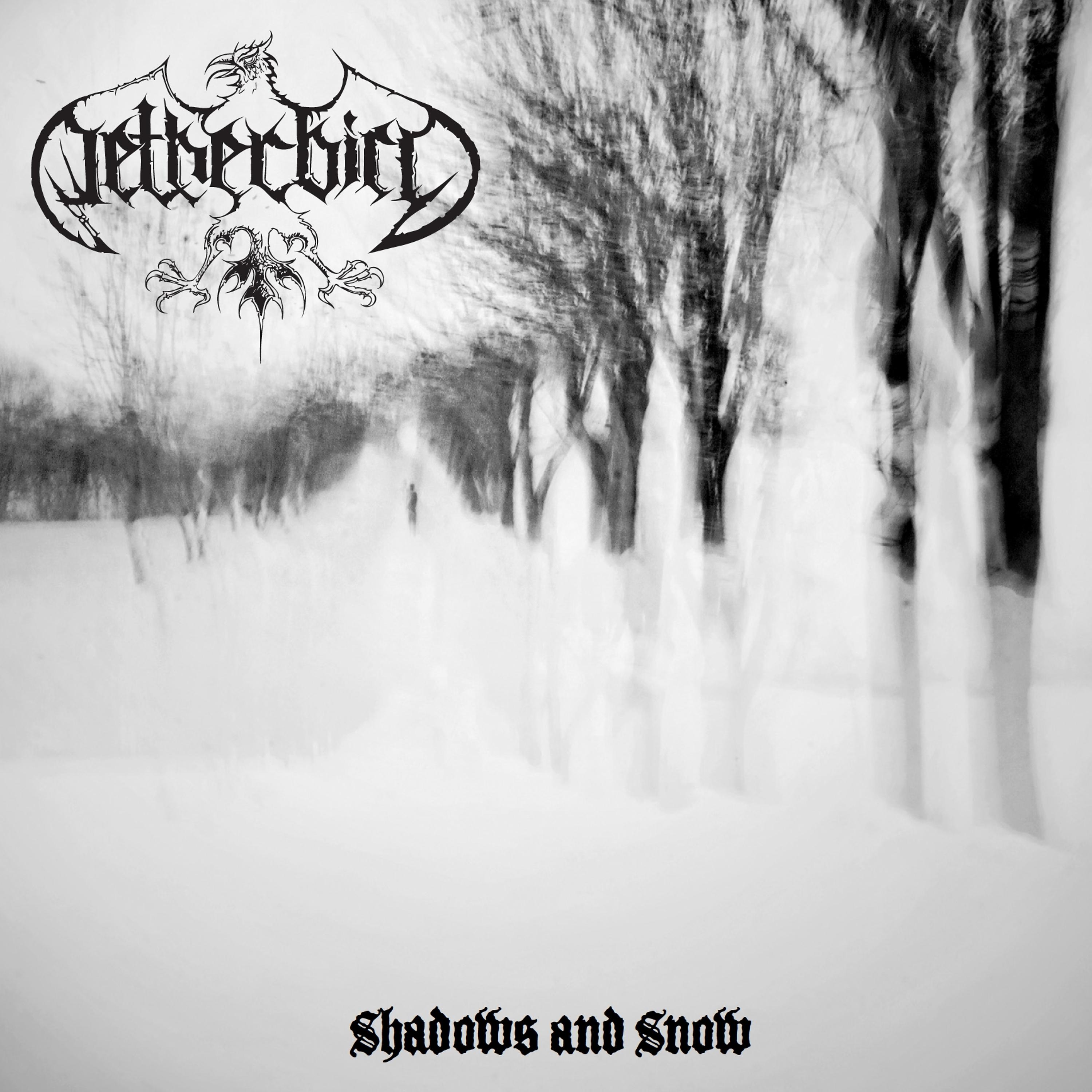 Постер альбома Shadows and Snow
