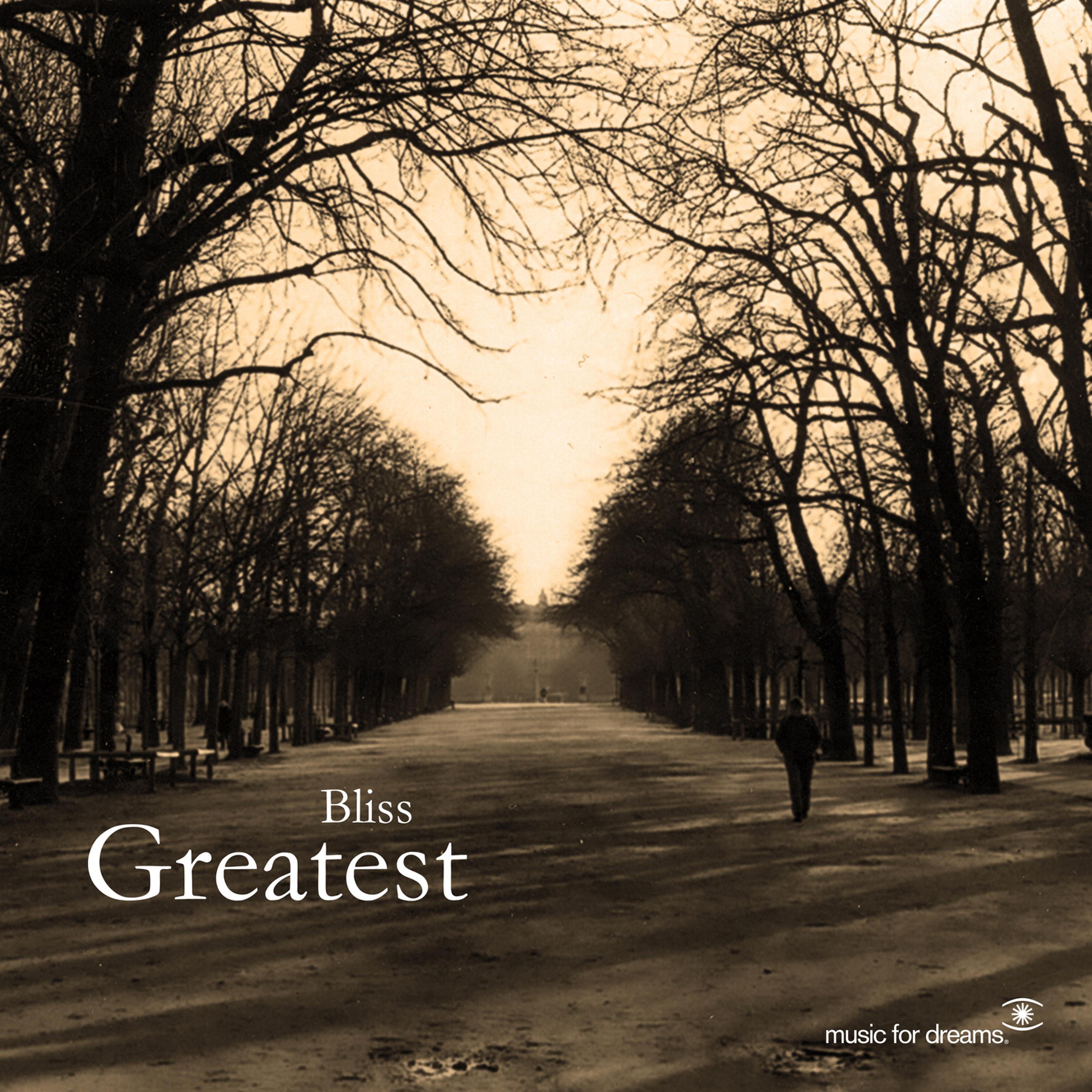 Постер альбома Bliss - Greatest Hits