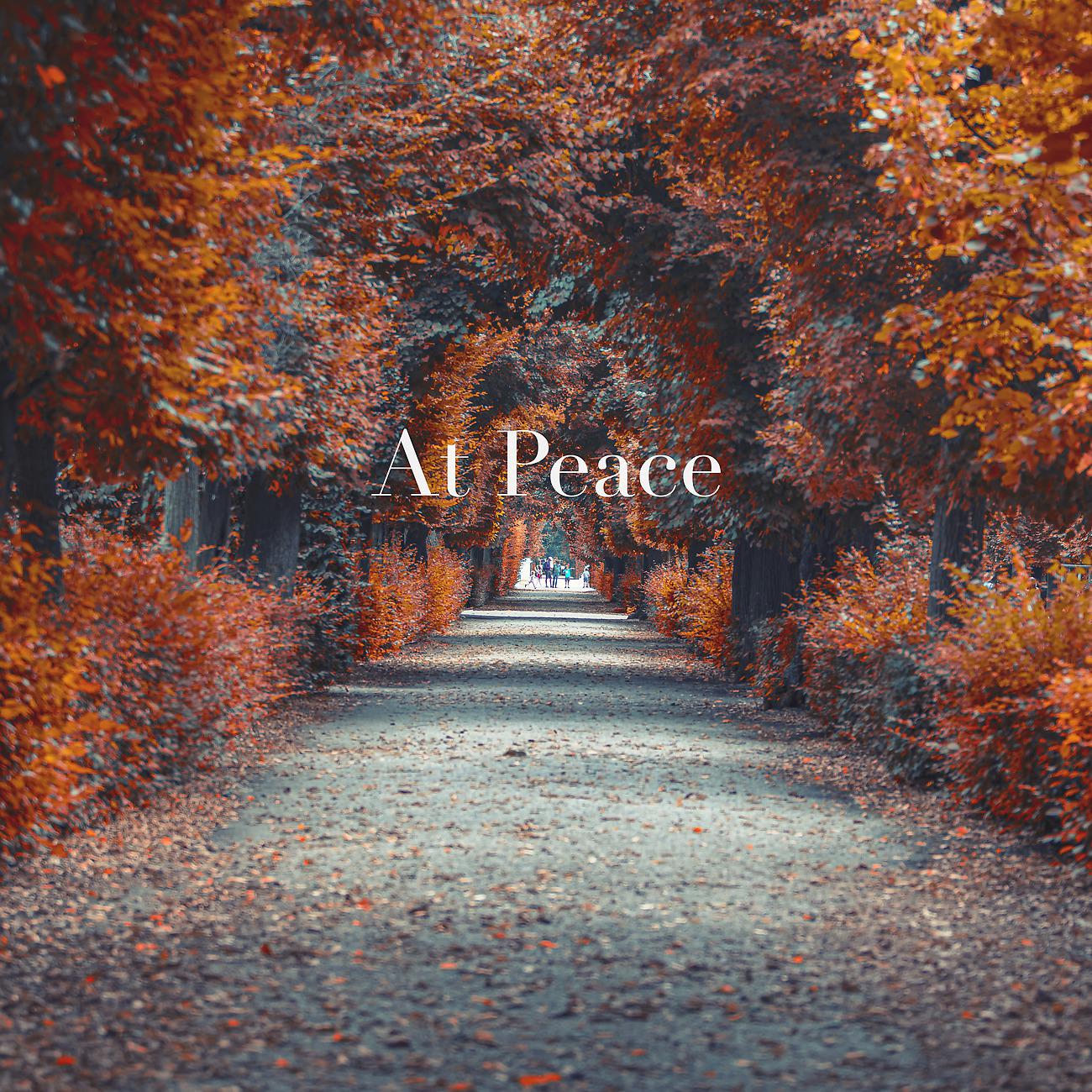 Постер альбома At Peace